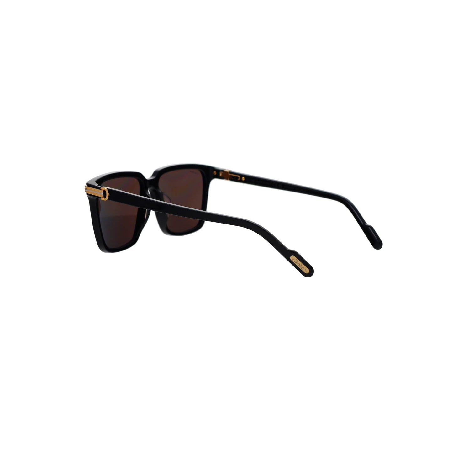 CT0220SA Contemporary Acetate Sunglasses