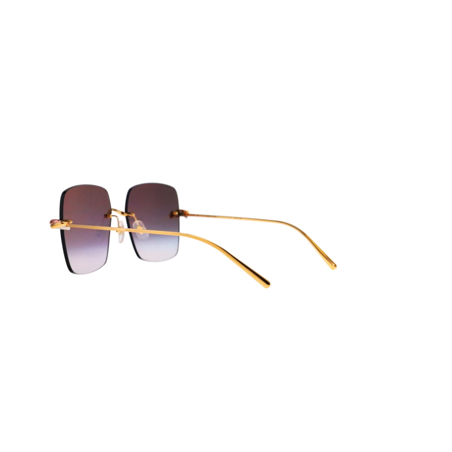 CT0508S Trinity Square Sunglasses