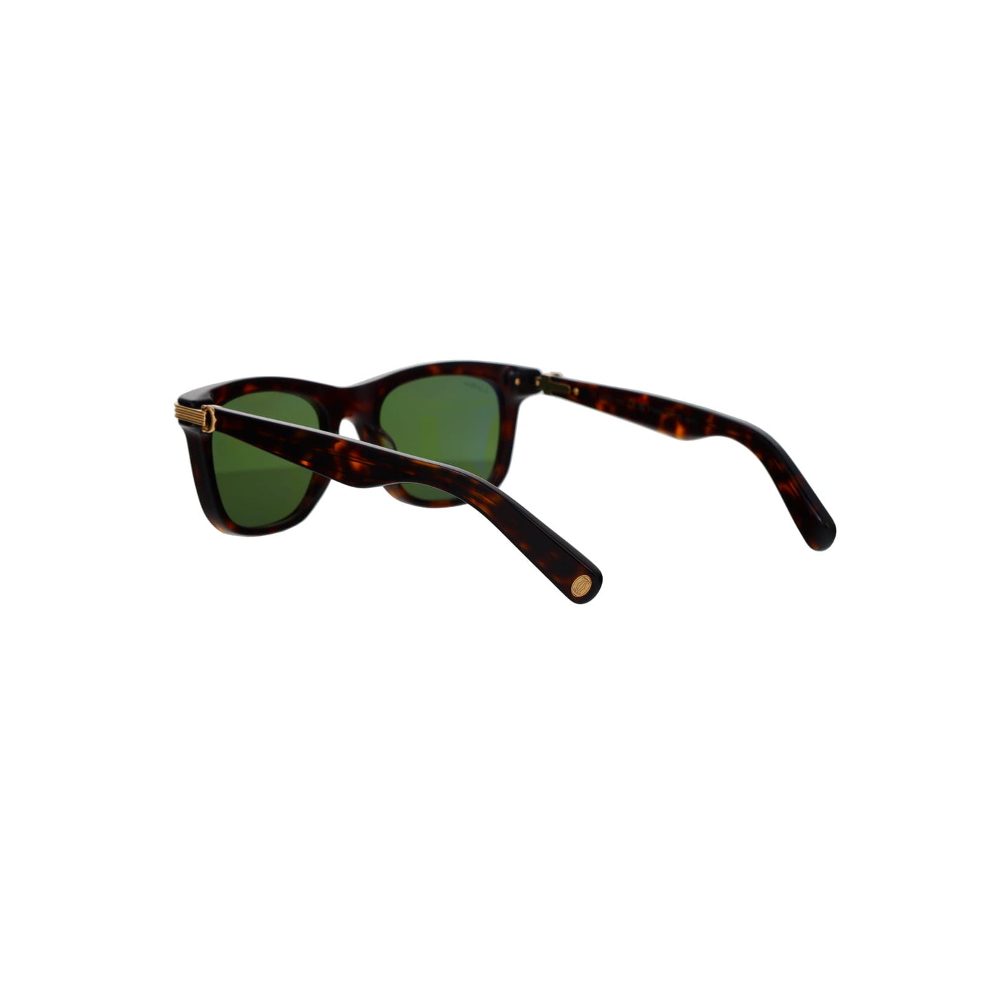 CT0396S Contemporary Acetate Sunglasses