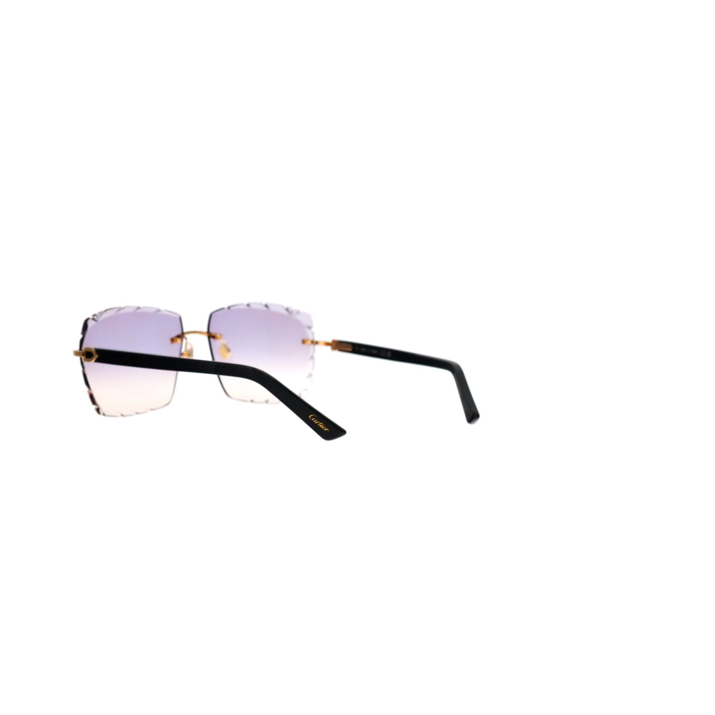 CT0048O Cartier Custom C Décor Acetate Sunglasses