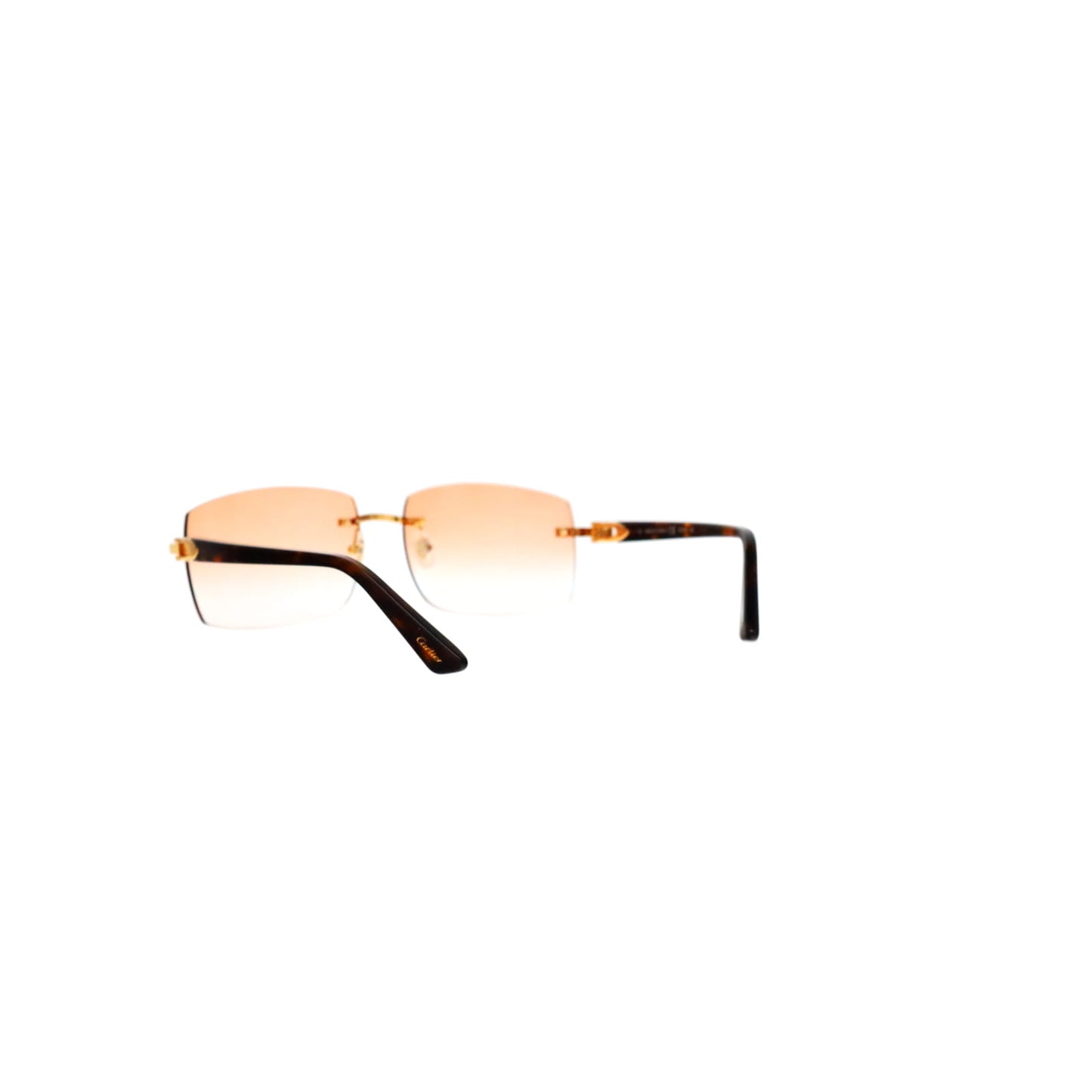 Cartier Custom C Décor Acetate Sunglasses by MEG