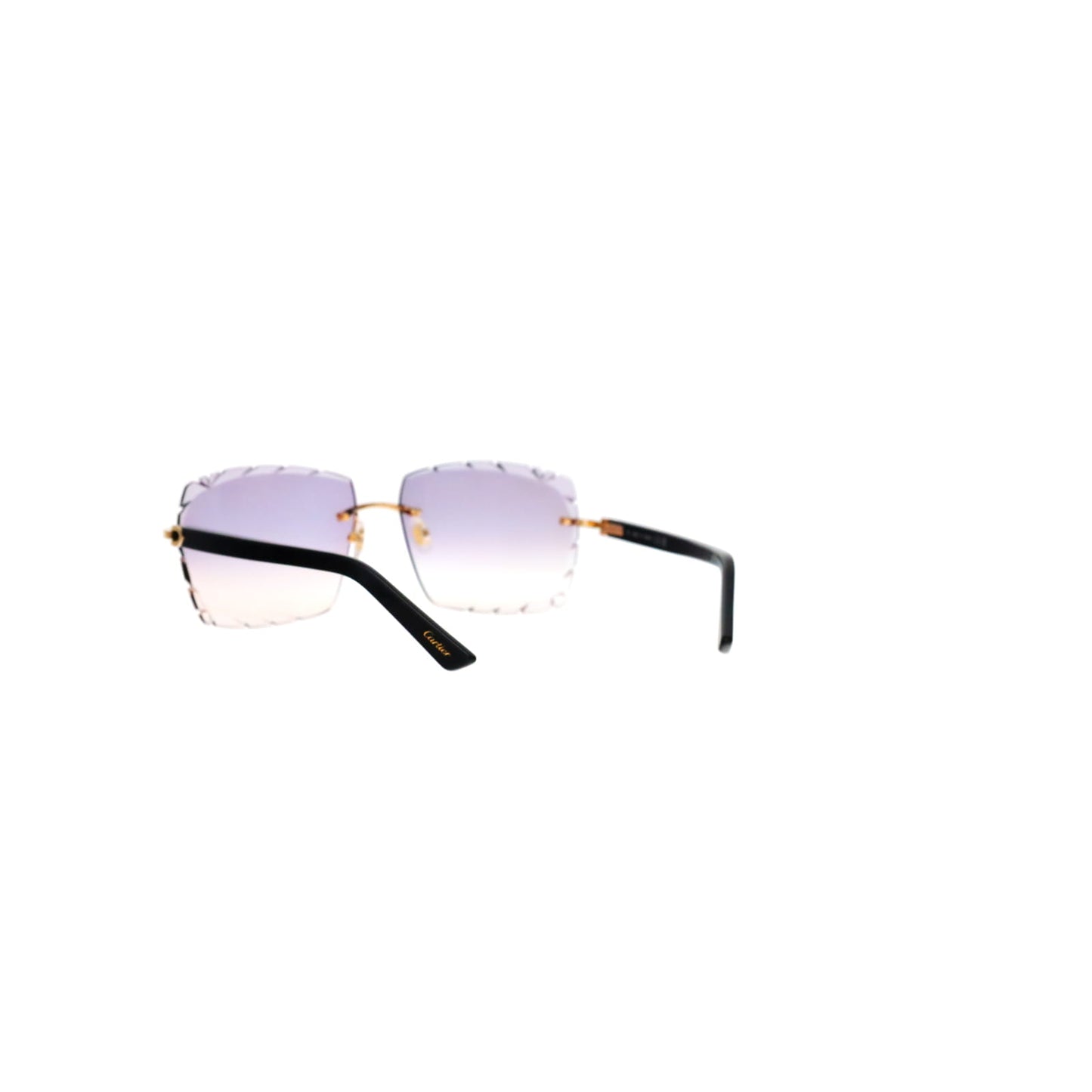 CT0048O Cartier Custom C Décor Acetate Sunglasses