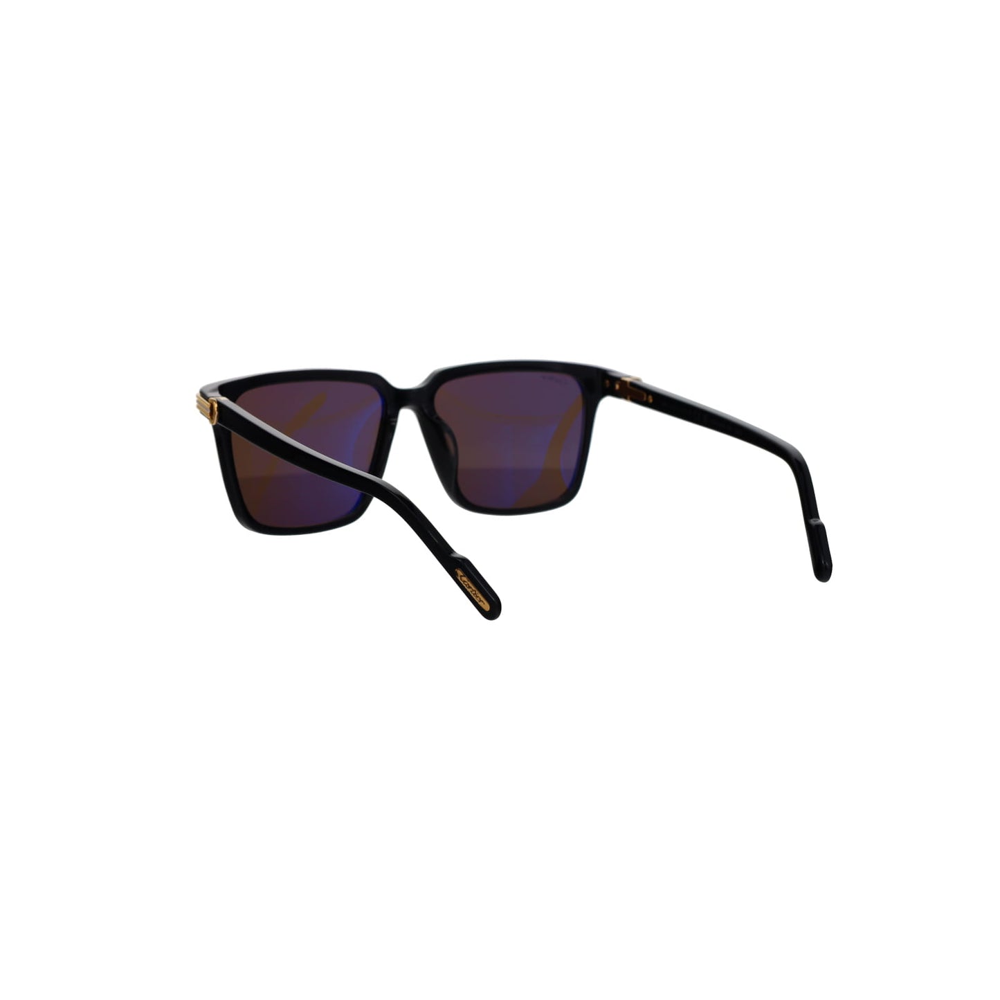 CT0220SA Contemporary Acetate Sunglasses