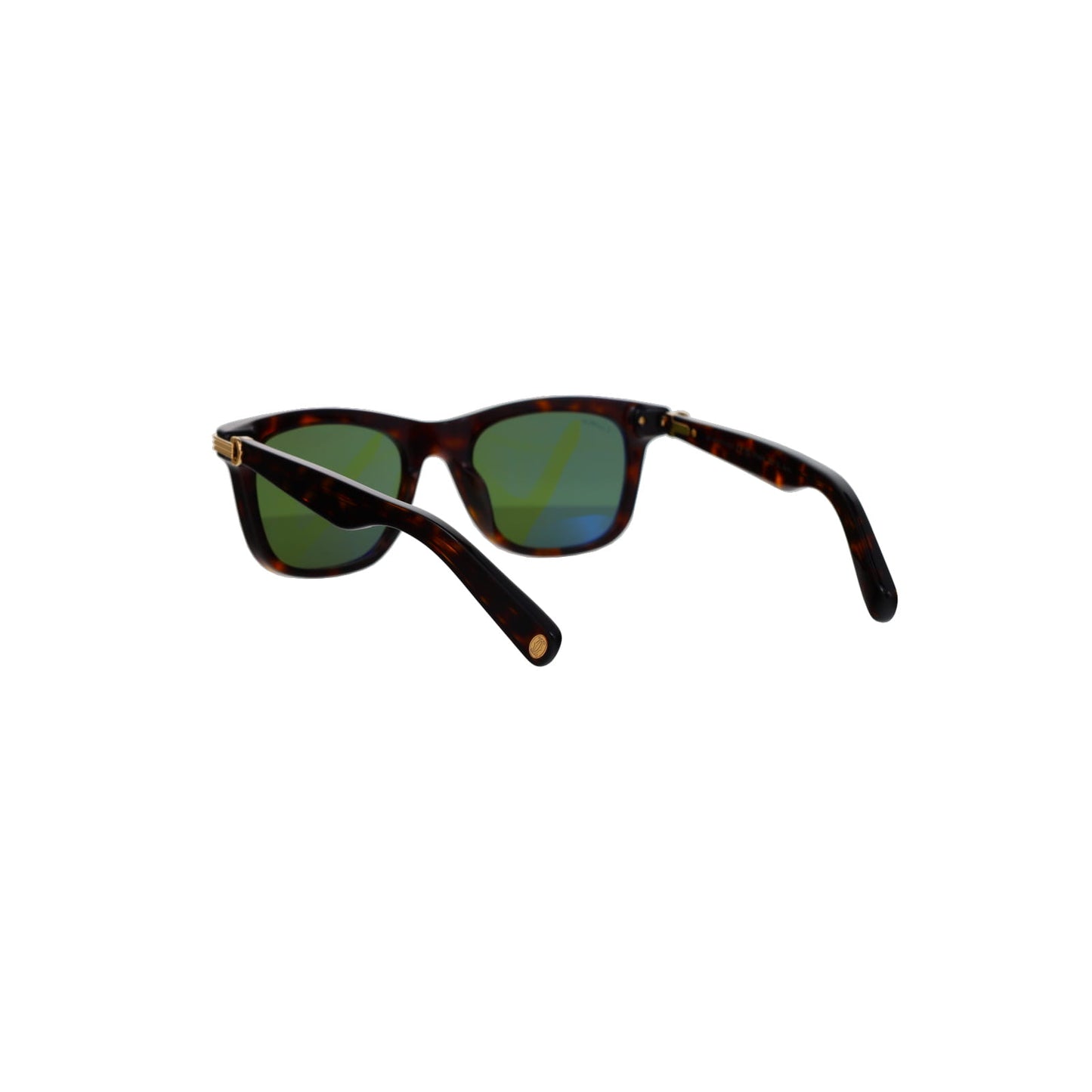 CT0396S Contemporary Acetate Sunglasses