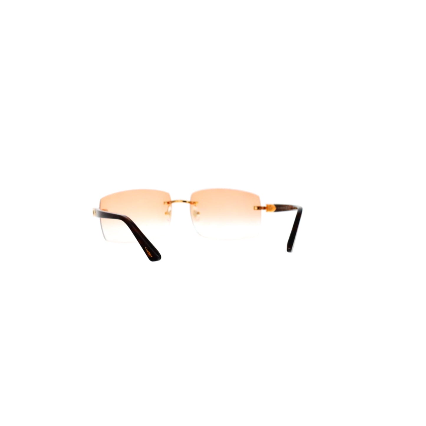 Cartier Custom C Décor Acetate Sunglasses by MEG