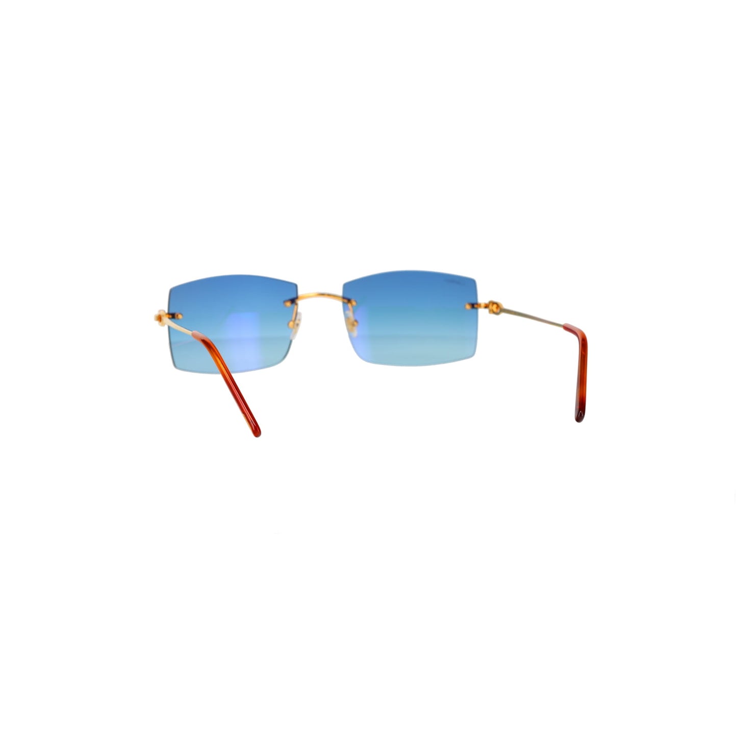 CT0005RS C Décor Sunglasses