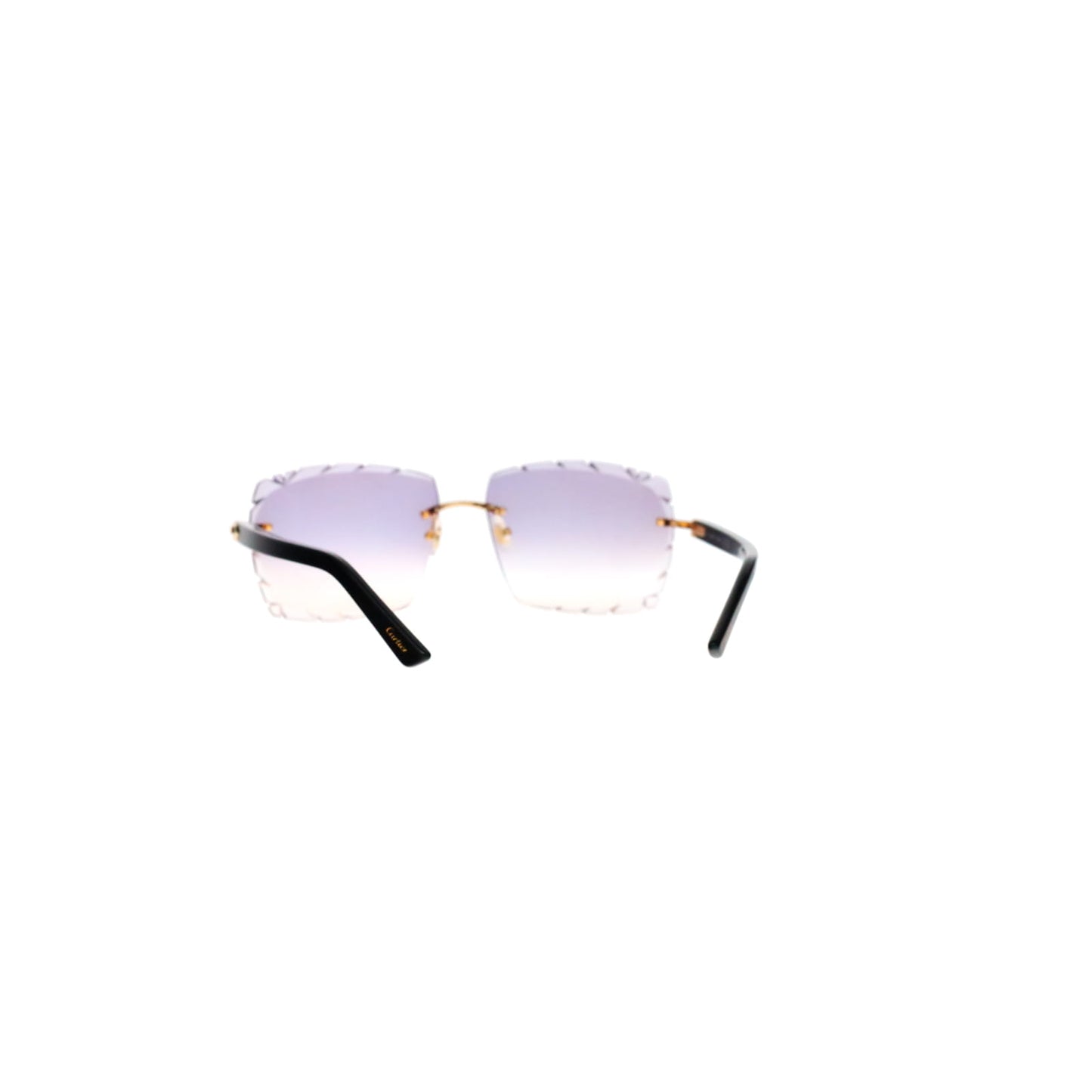CT0048O Cartier Custom C Décor Acetate Sunglasses