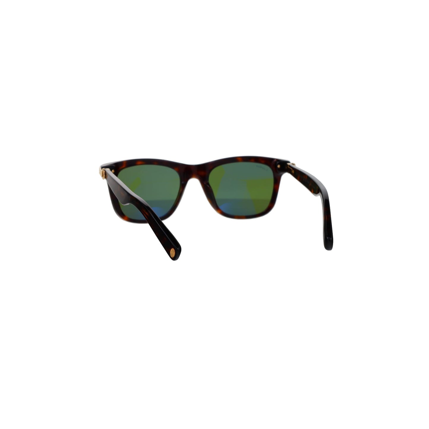 CT0396S Contemporary Acetate Sunglasses