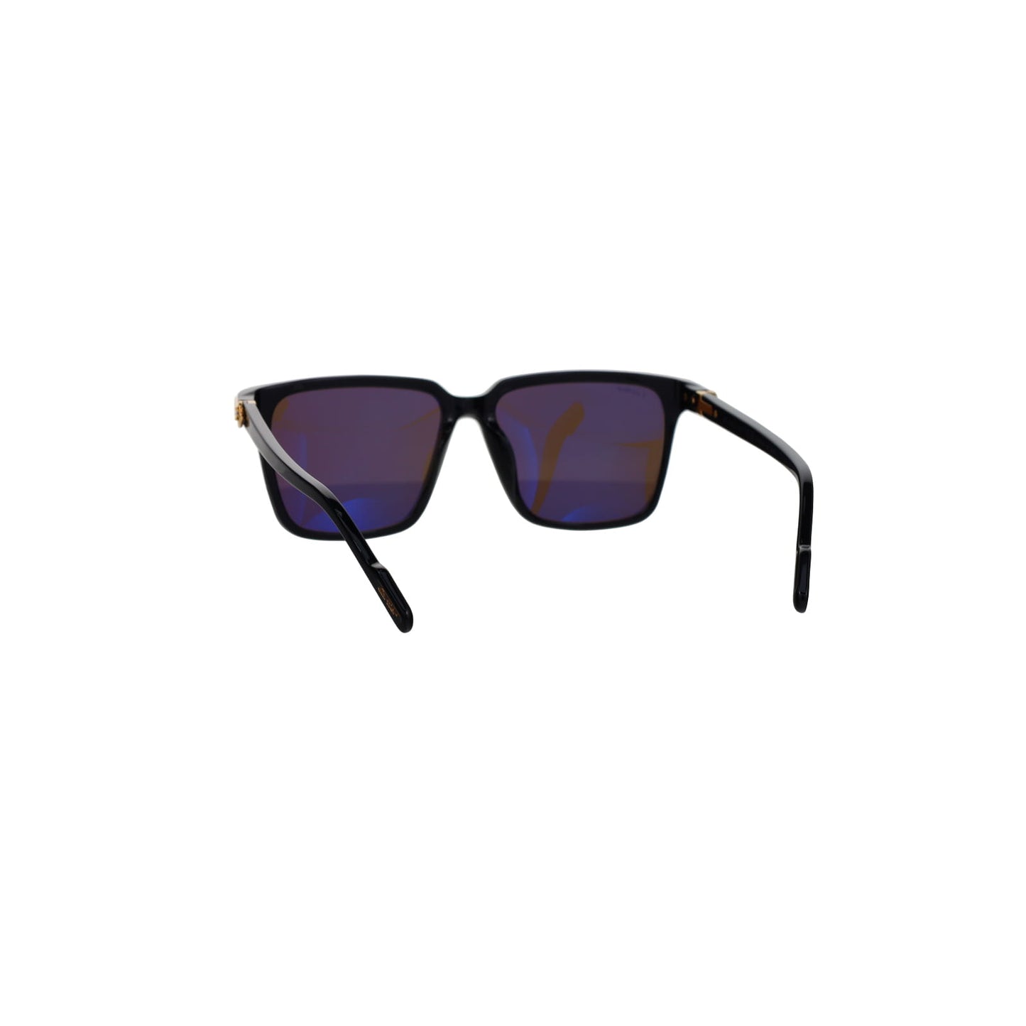 CT0220SA Contemporary Acetate Sunglasses