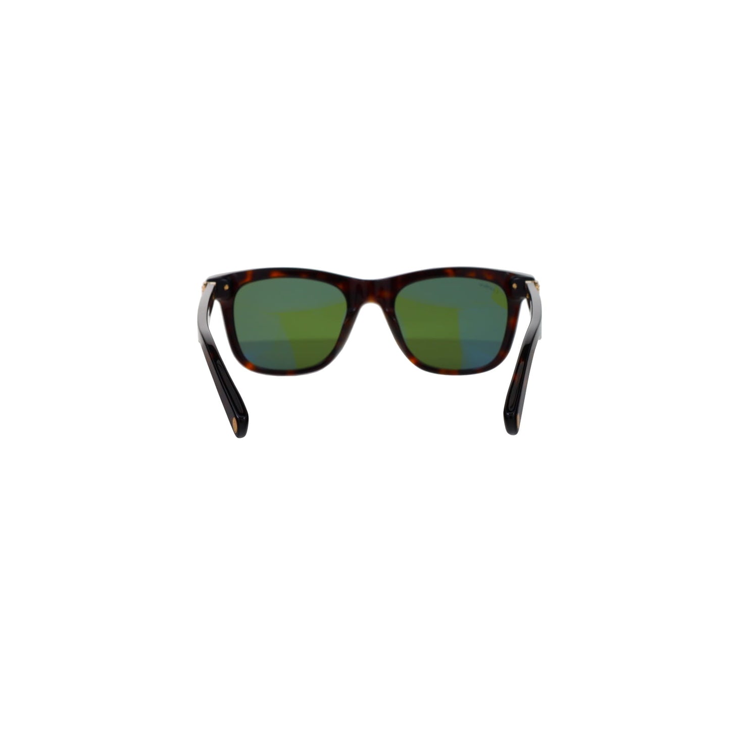CT0396S Contemporary Acetate Sunglasses
