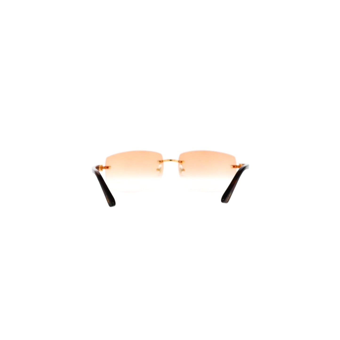 Cartier Custom C Décor Acetate Sunglasses by MEG