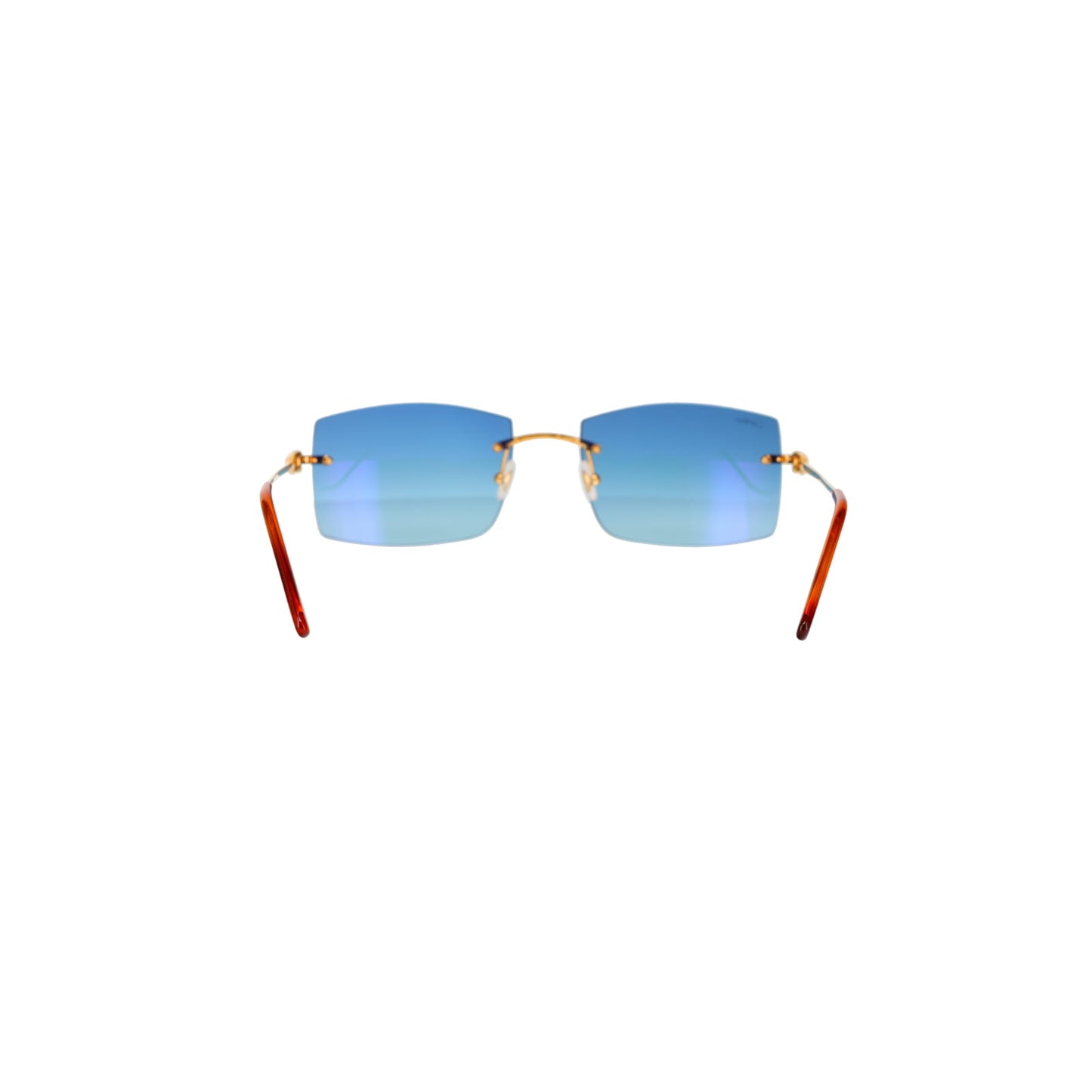 CT0005RS C Décor Sunglasses