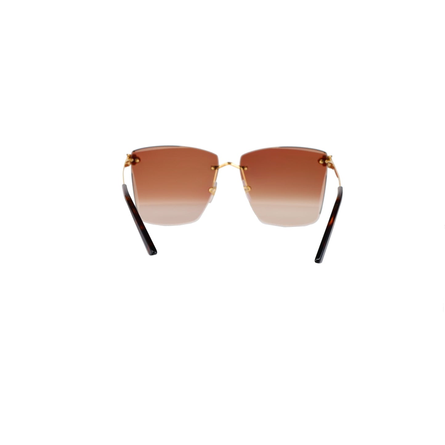 CT0397S Panthère Sunglasses