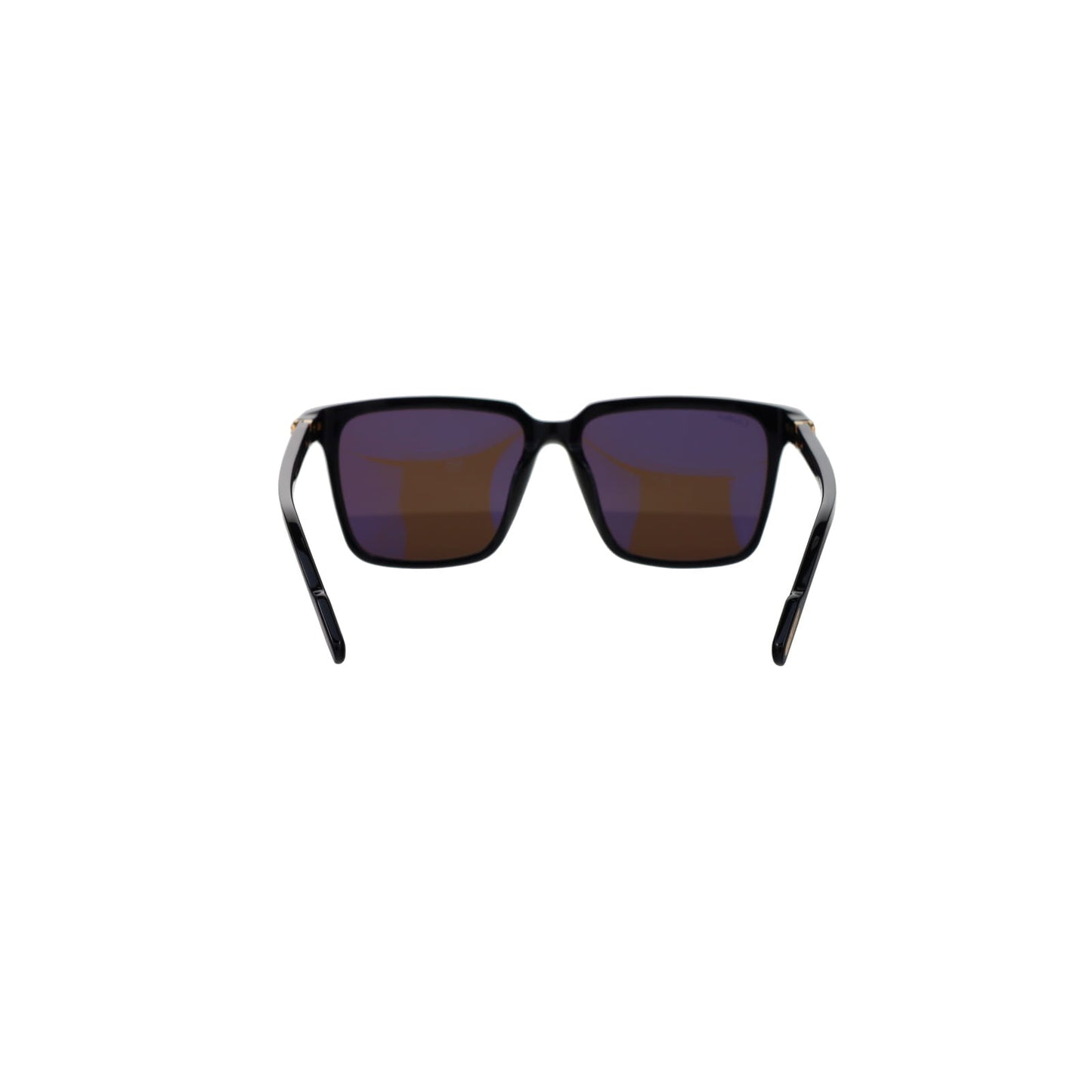 CT0220SA Contemporary Acetate Sunglasses