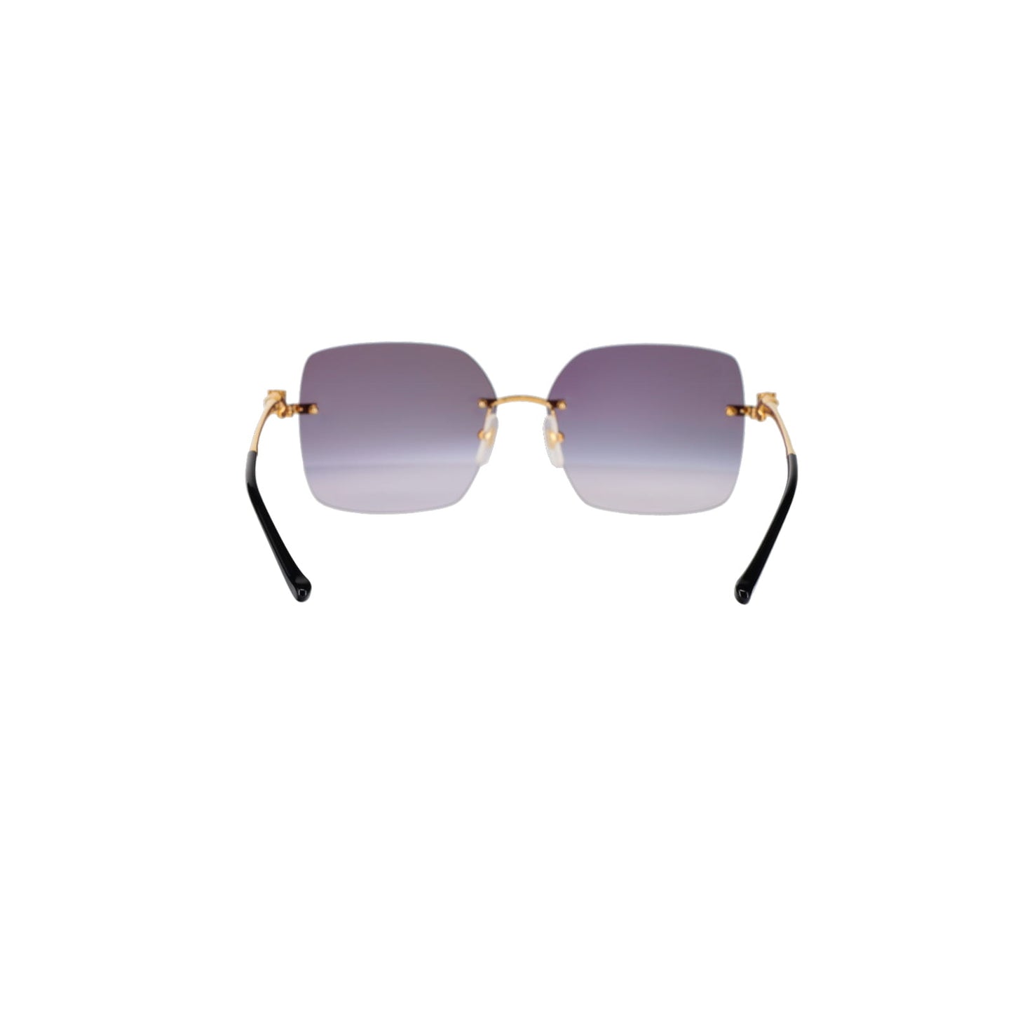 CT0359S Panthère Sunglasses