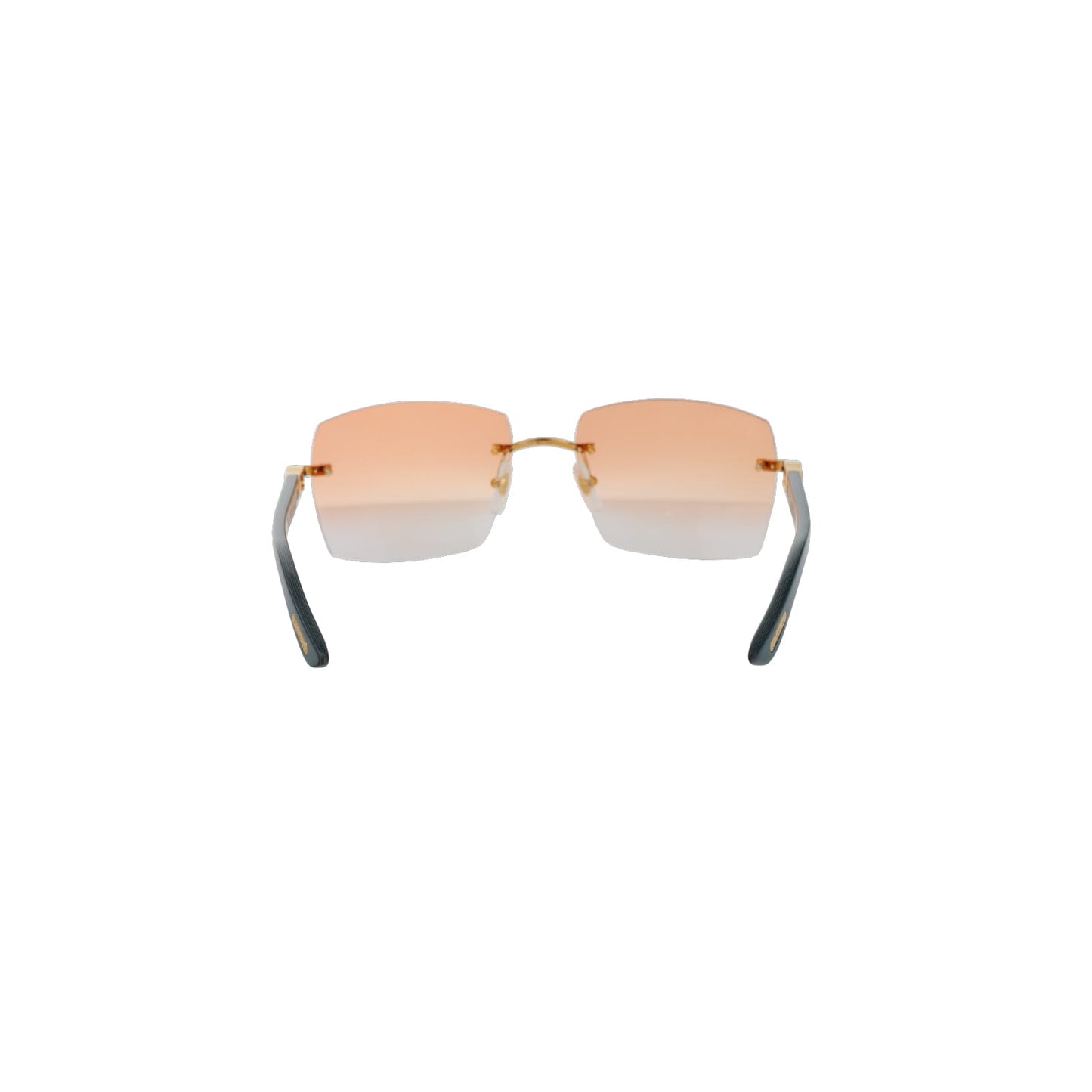 CT0453O Cartier Custom C Décor Sunglasses by MEG