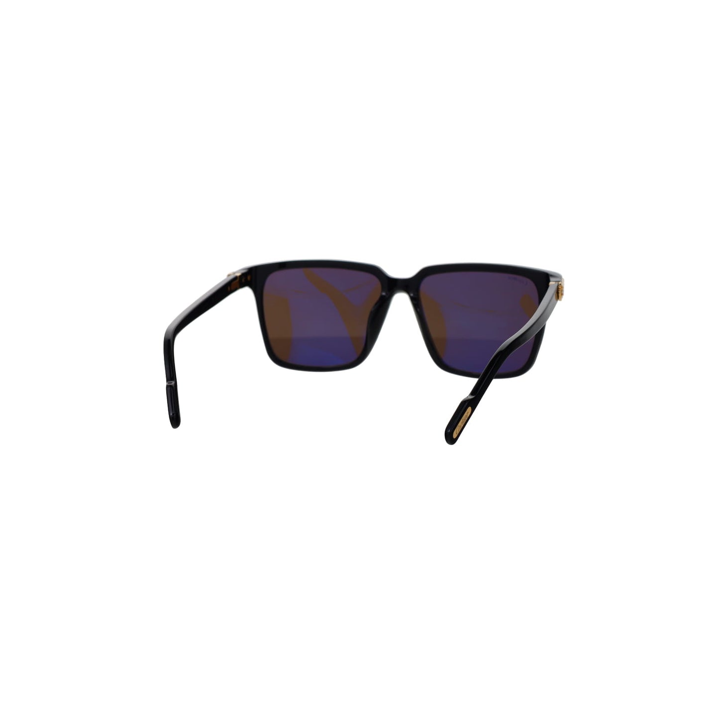 CT0220SA Contemporary Acetate Sunglasses