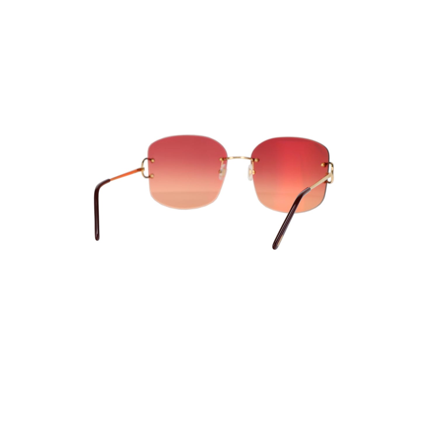 CT0037RS Signature C Sunglasses