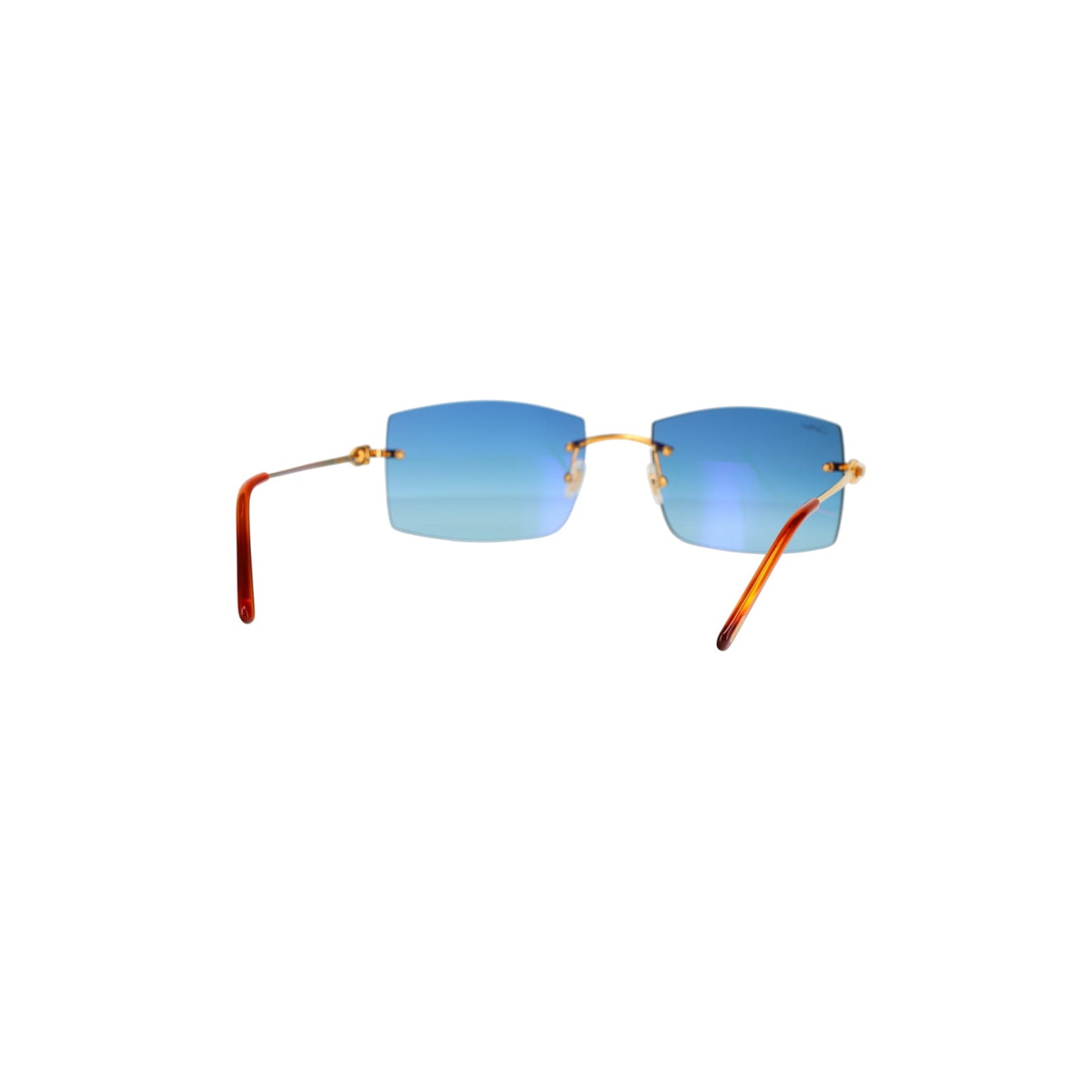 CT0005RS C Décor Sunglasses
