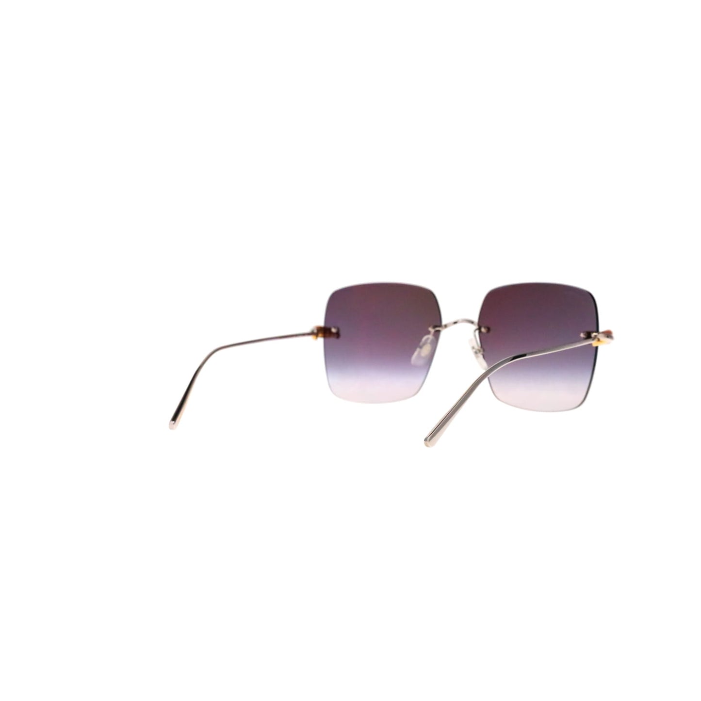 CT0508S Trinity Square Sunglasses