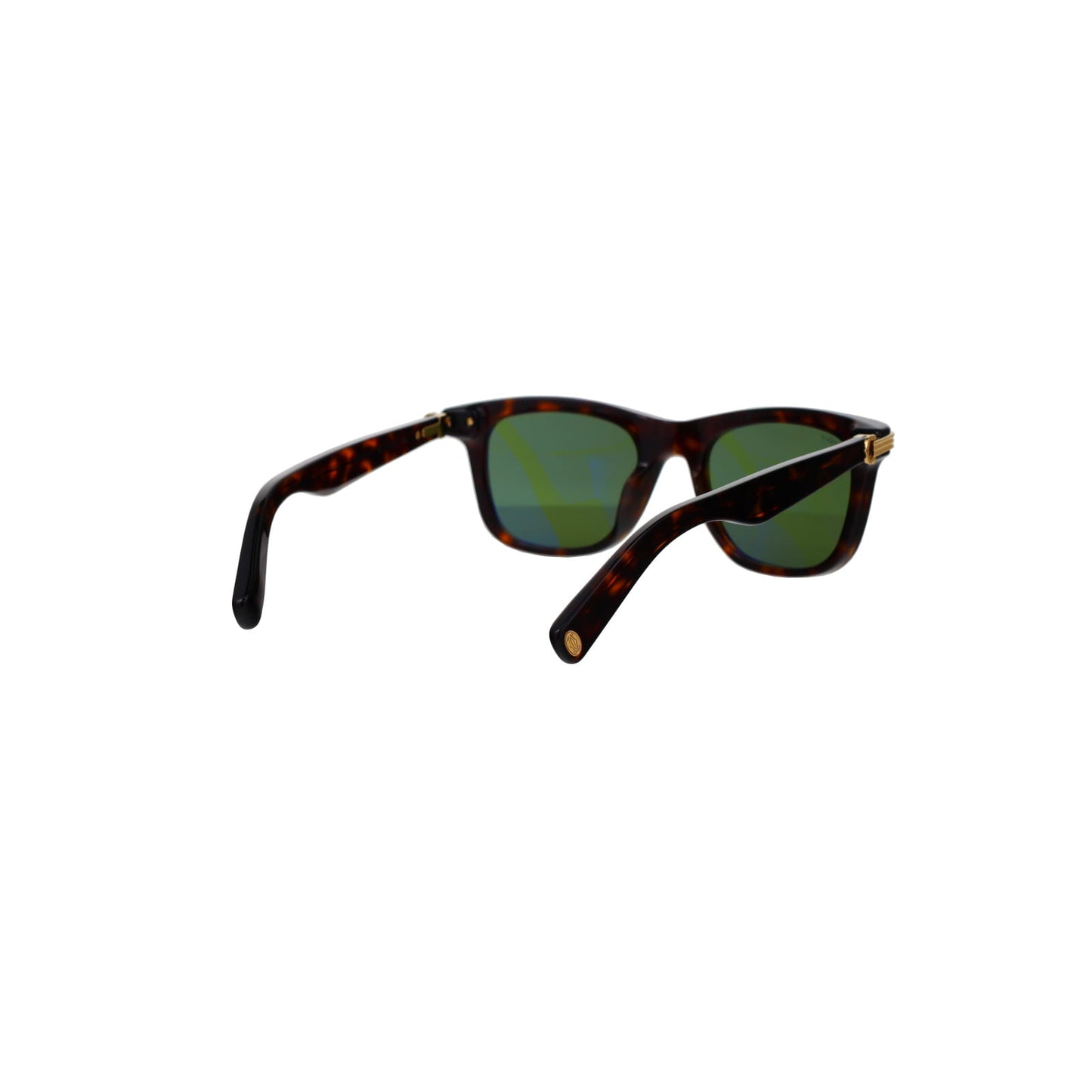 CT0396S Contemporary Acetate Sunglasses
