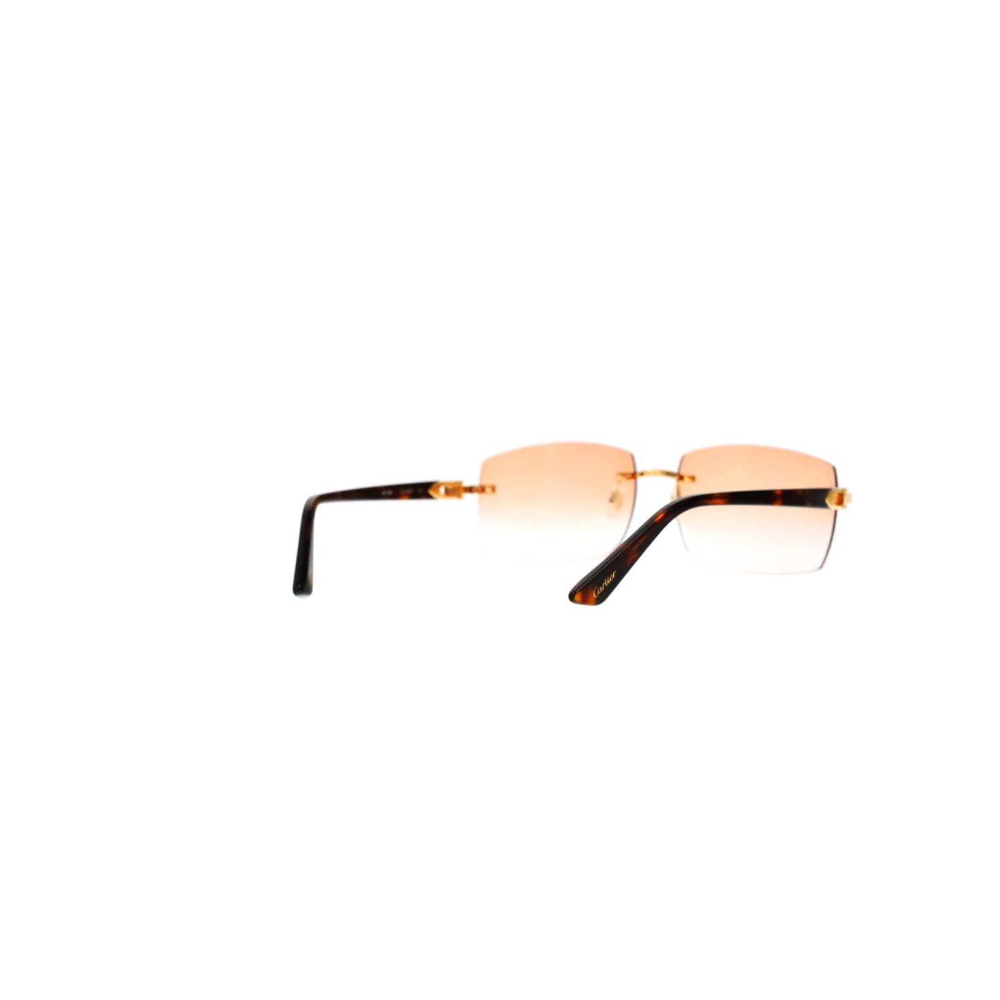 Cartier Custom C Décor Acetate Sunglasses by MEG