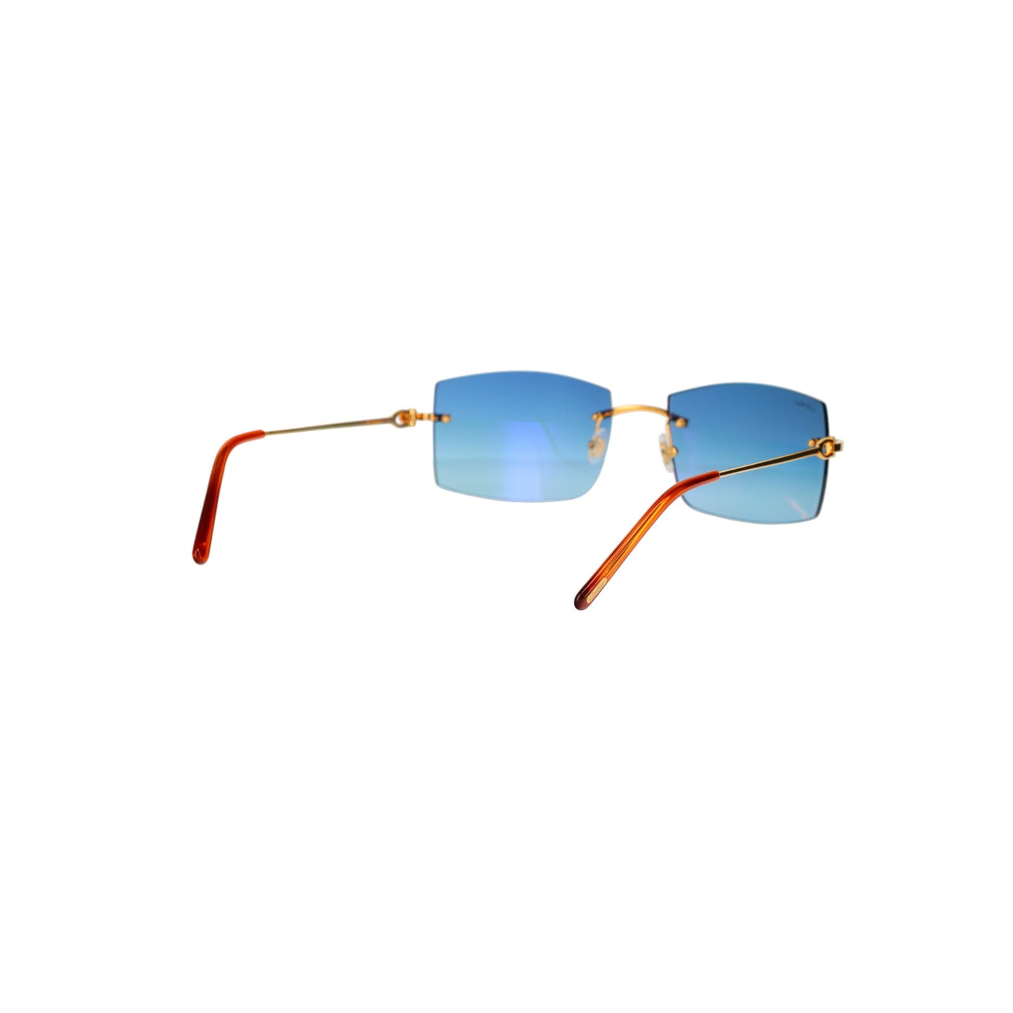 CT0005RS C Décor Sunglasses