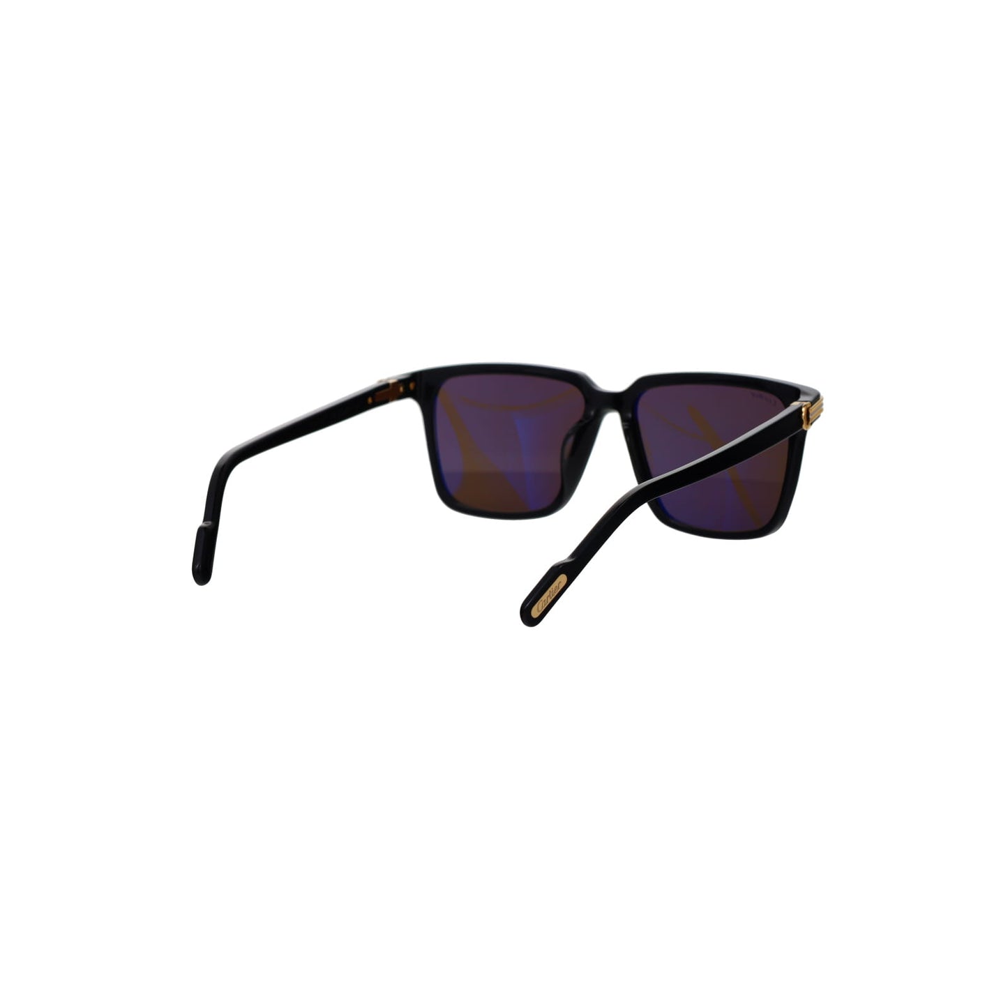 CT0220SA Contemporary Acetate Sunglasses
