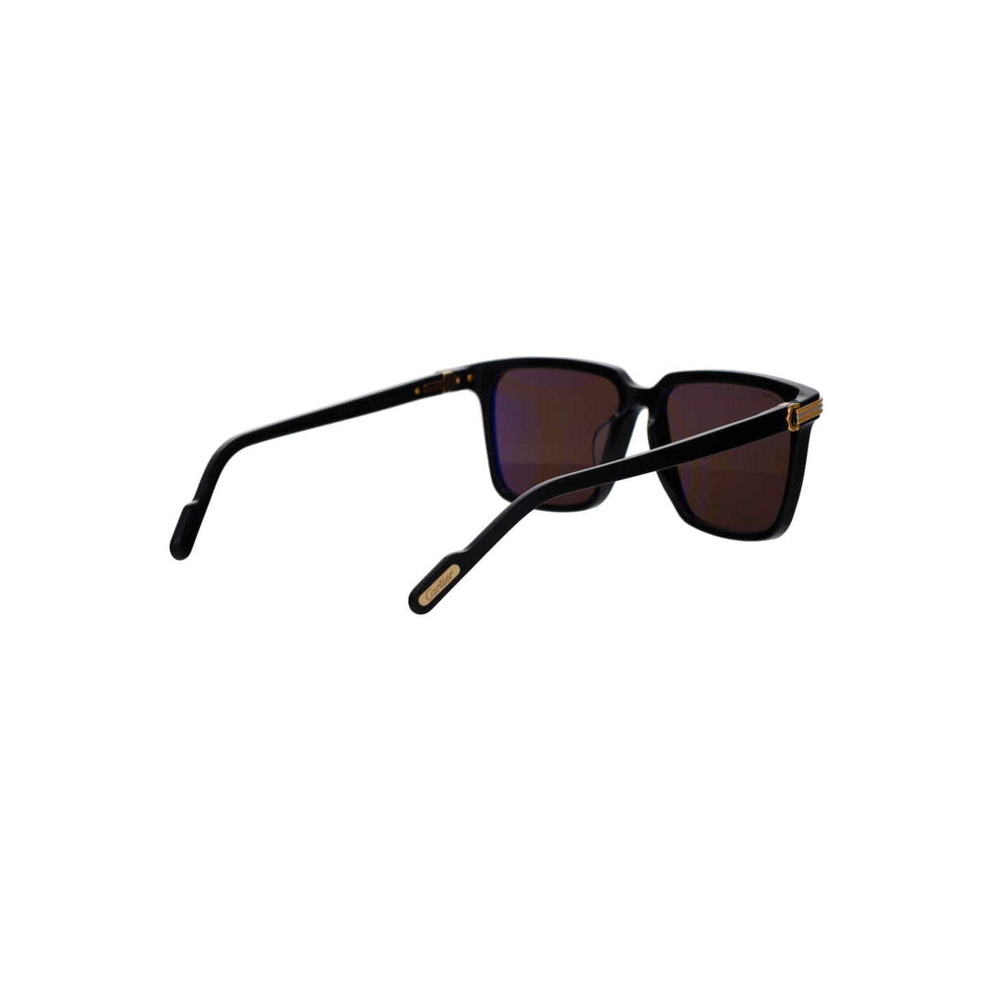 CT0220SA Contemporary Acetate Sunglasses