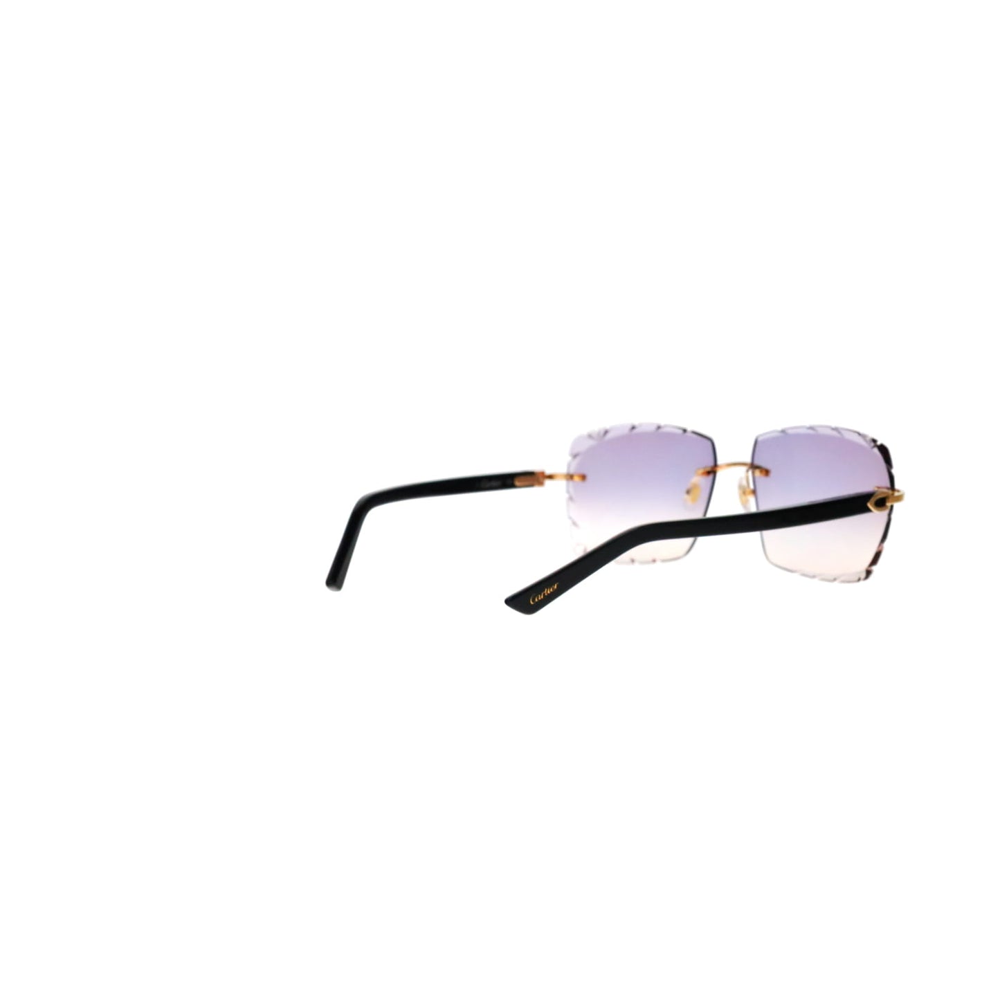 CT0048O Cartier Custom C Décor Acetate Sunglasses