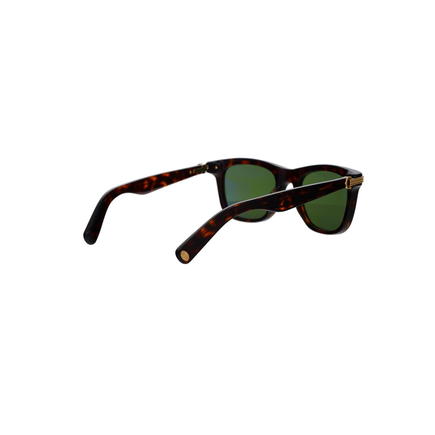 CT0396S Contemporary Acetate Sunglasses