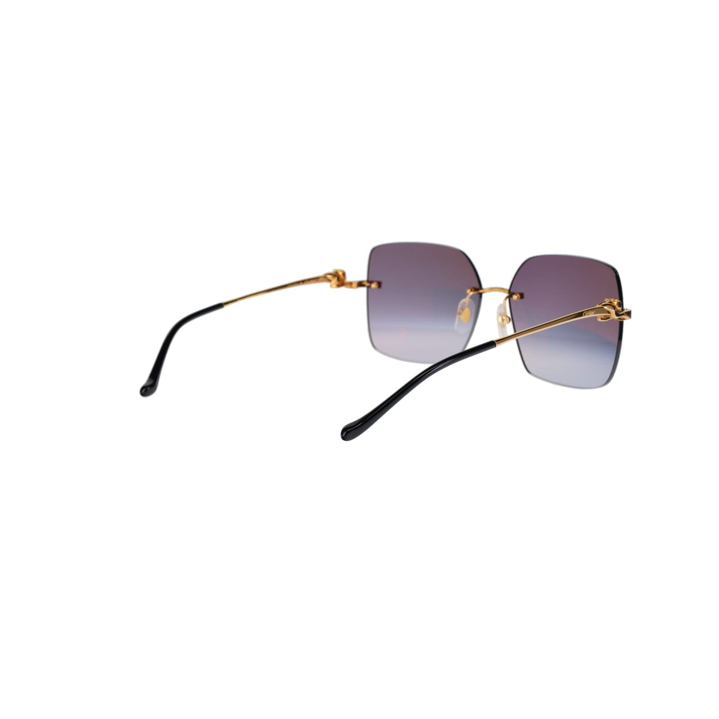CT0359S Panthère Sunglasses