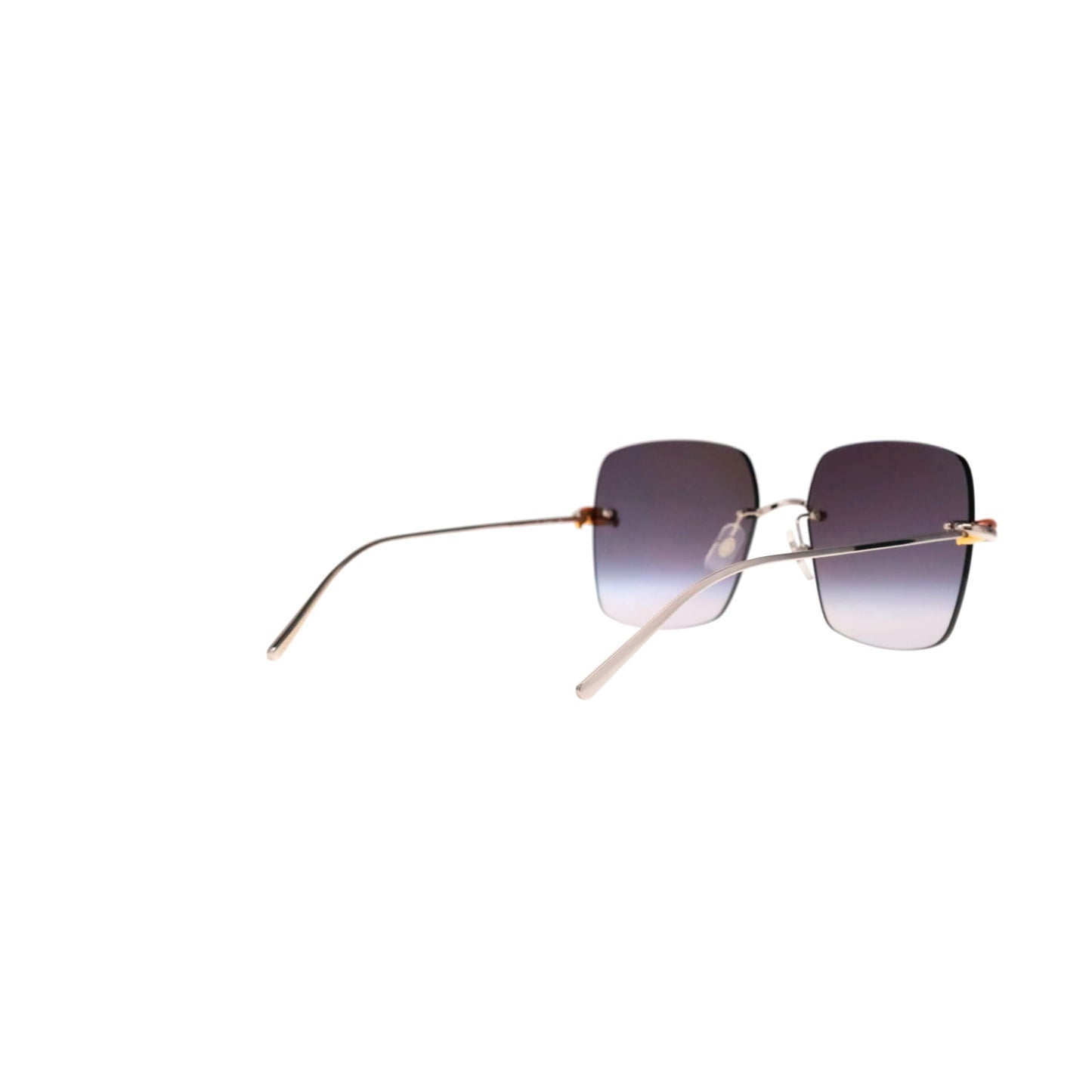 CT0508S Trinity Square Sunglasses