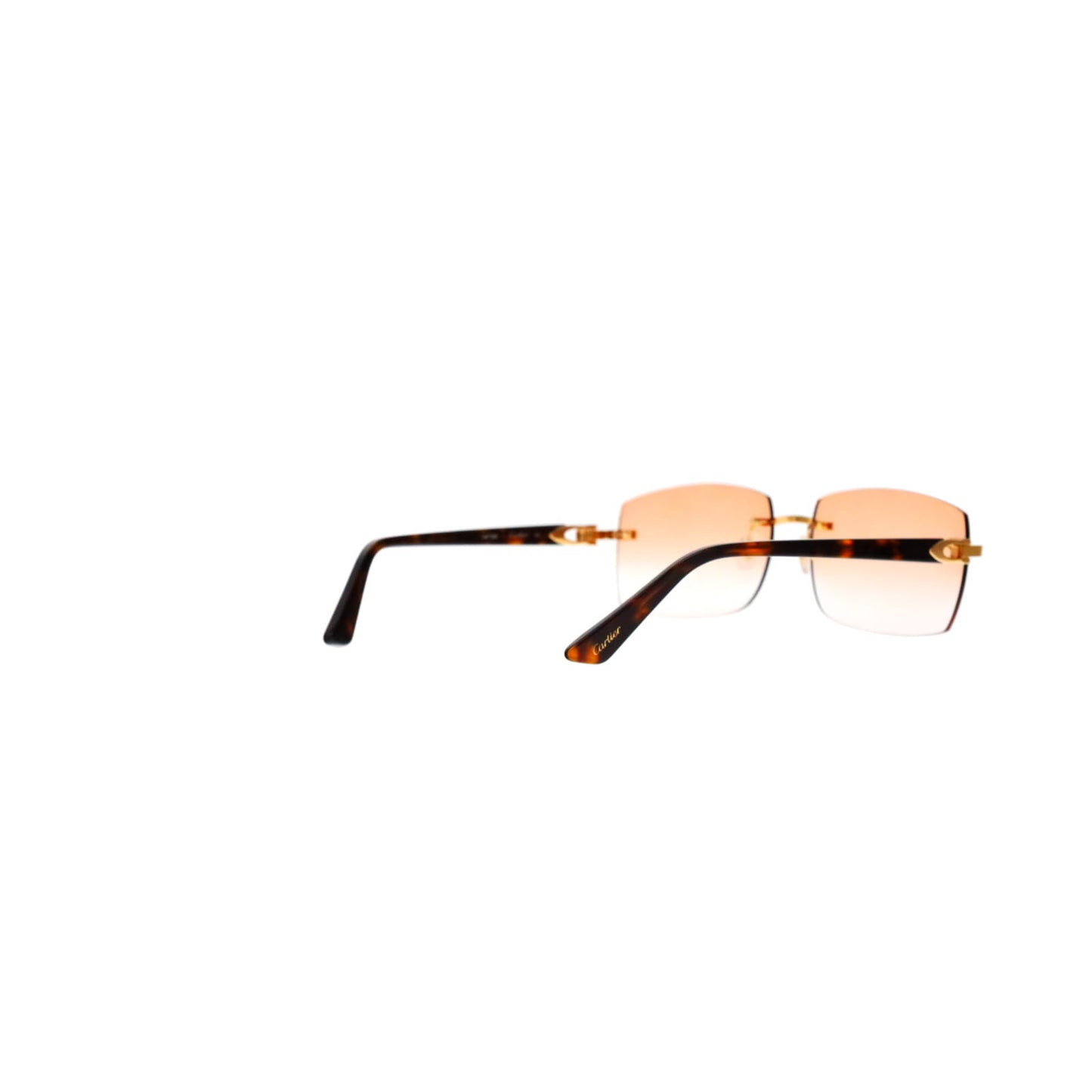 Cartier Custom C Décor Acetate Sunglasses by MEG