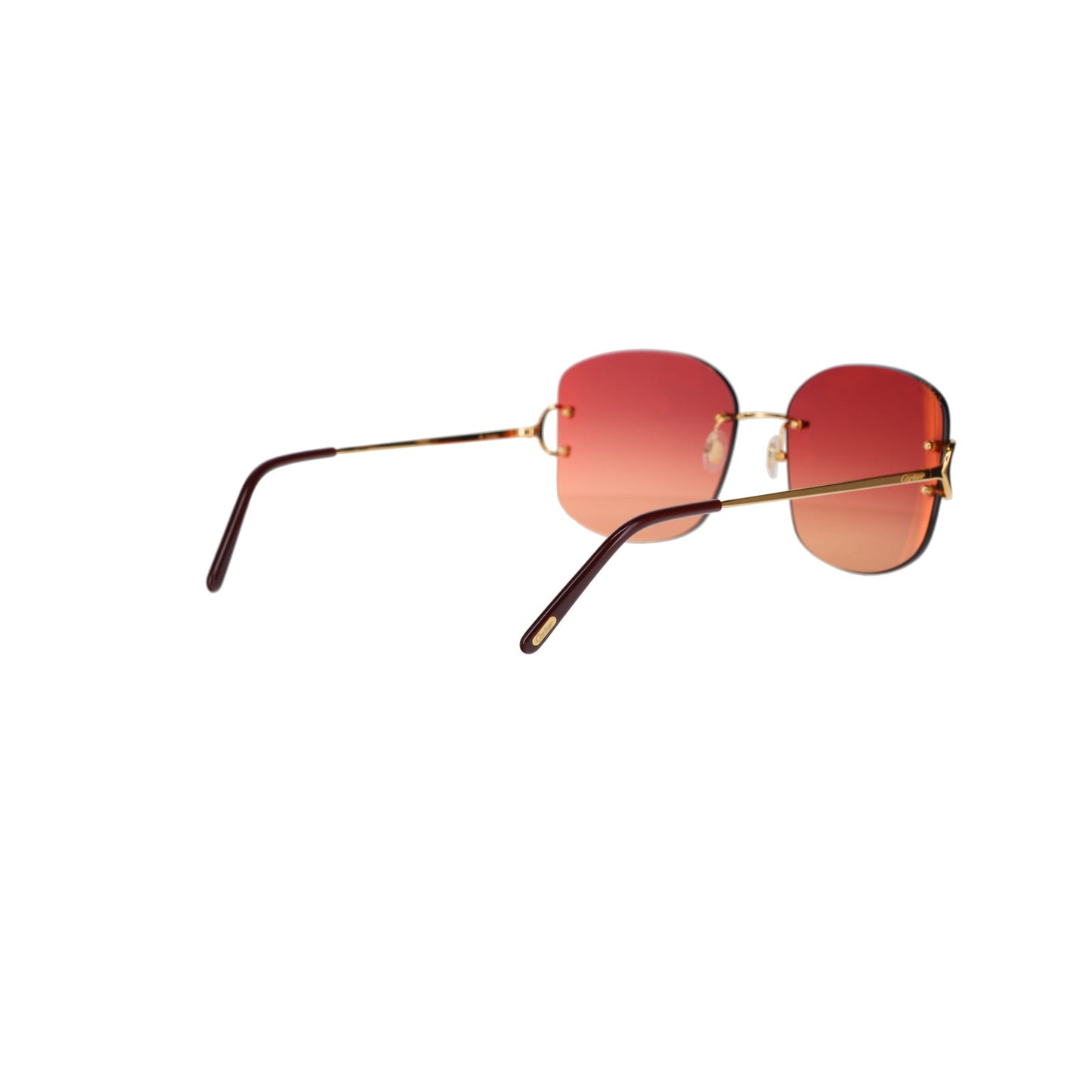 CT0037RS Signature C Sunglasses