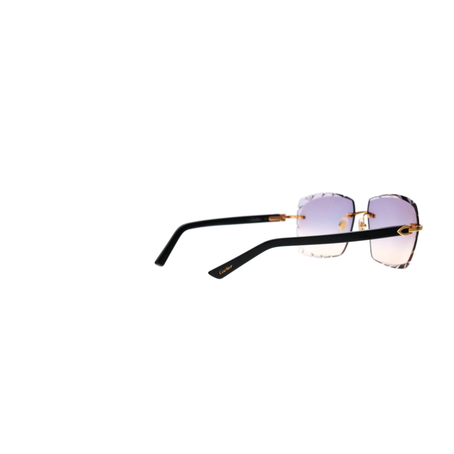 CT0048O Cartier Custom C Décor Acetate Sunglasses