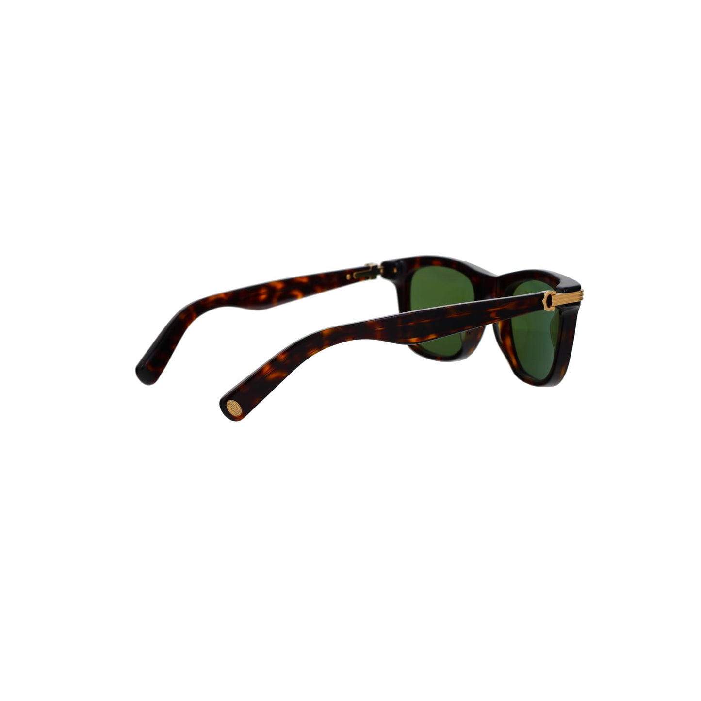 CT0396S Contemporary Acetate Sunglasses