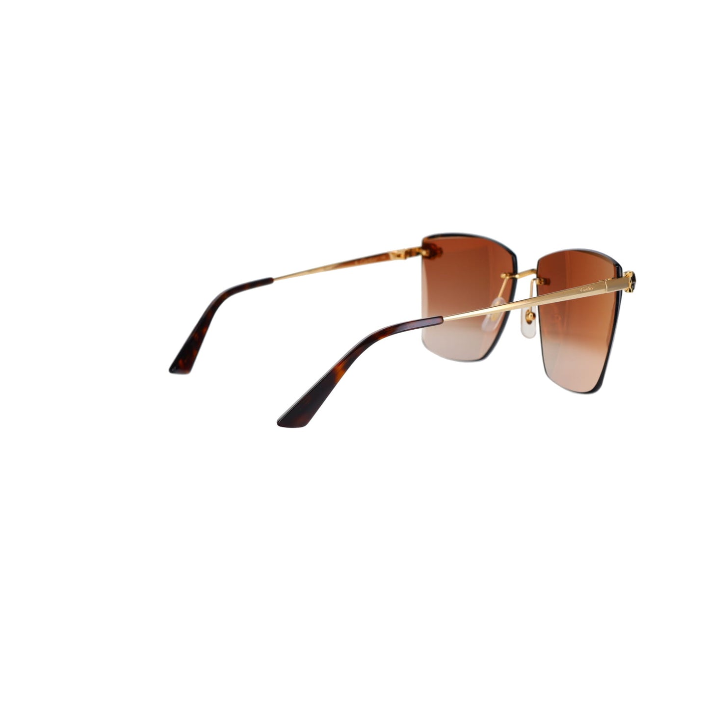 CT0397S Panthère Sunglasses