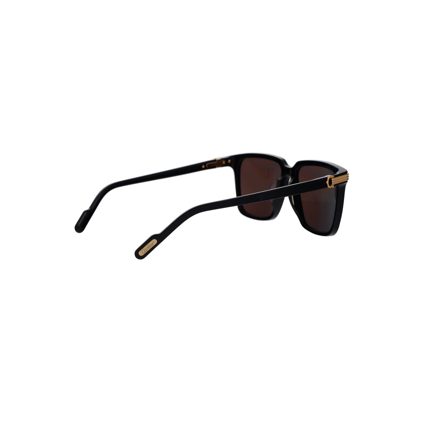 CT0220SA Contemporary Acetate Sunglasses