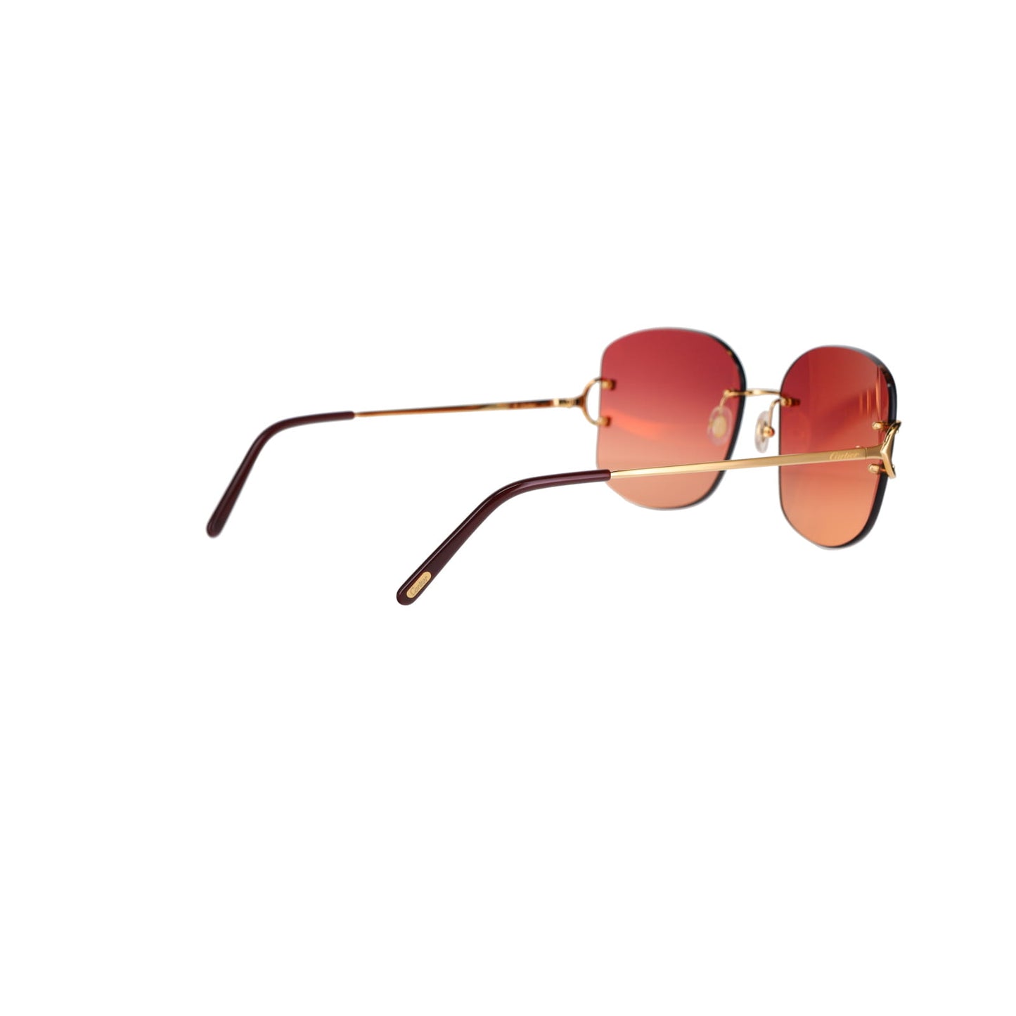 CT0037RS Signature C Sunglasses