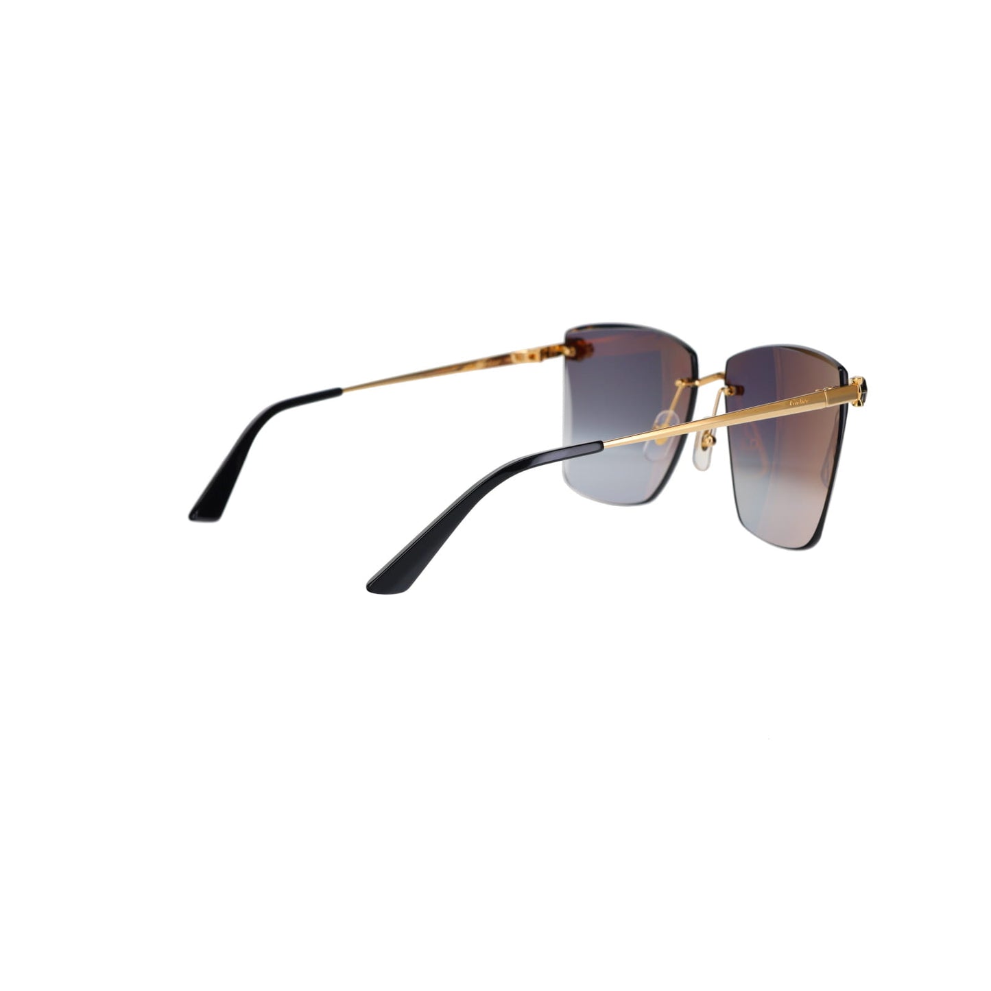 CT0397S Panthère Sunglasses