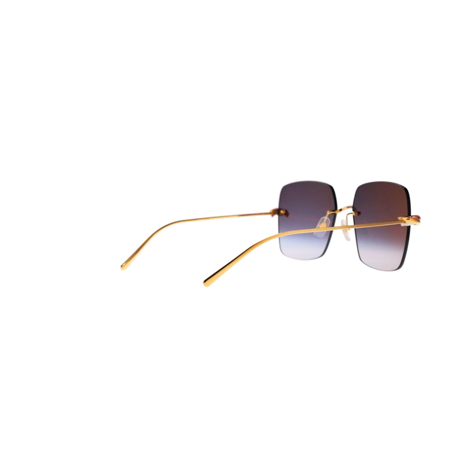 CT0508S Trinity Square Sunglasses