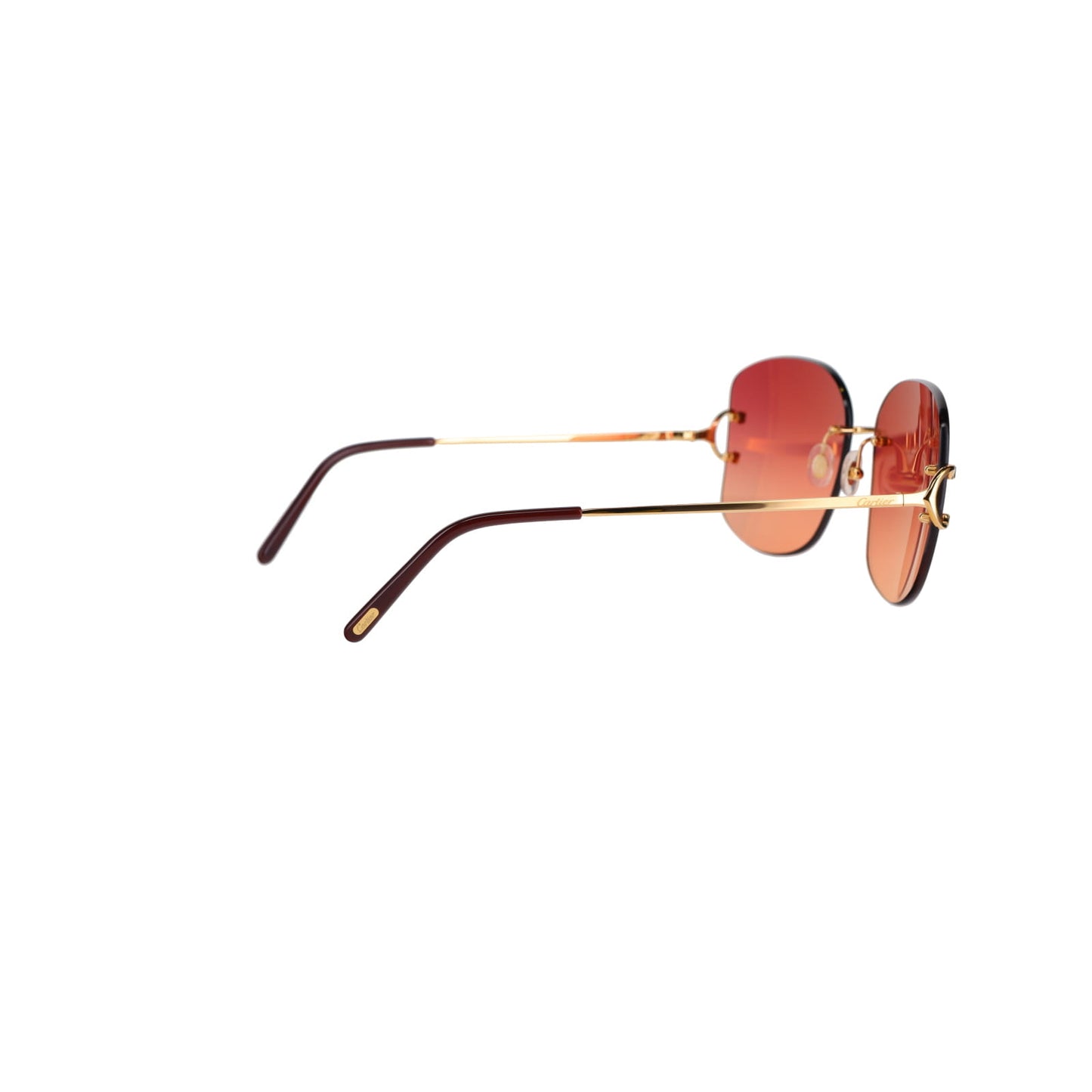 CT0037RS Signature C Sunglasses