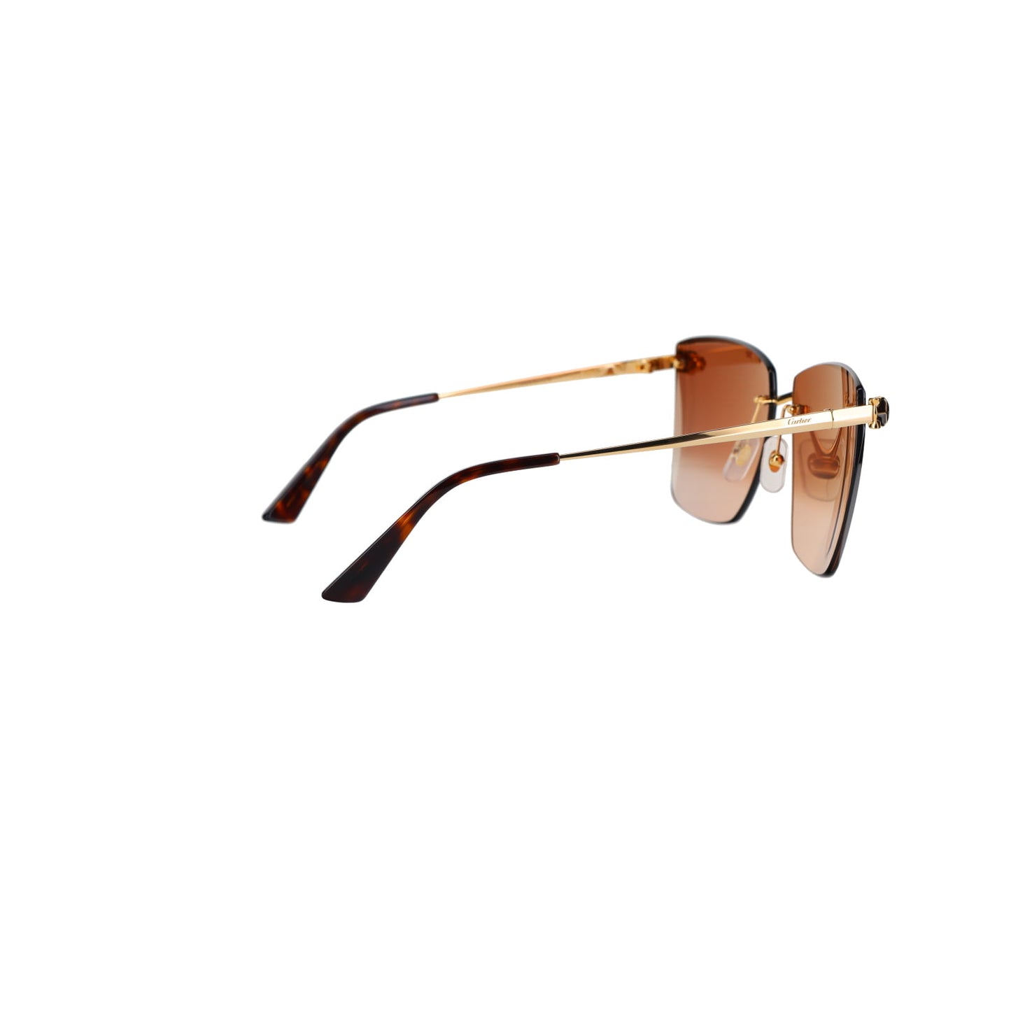 CT0397S Panthère Sunglasses