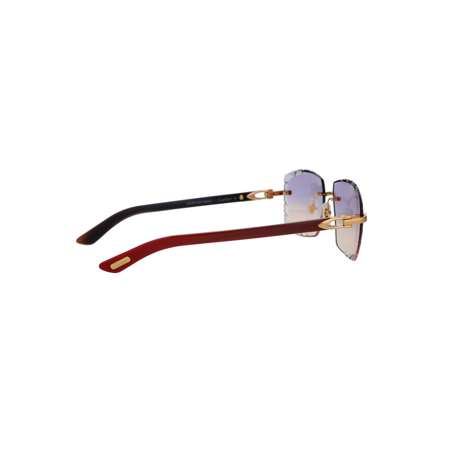 CT0453O Cartier Custom C Décor Sunglasses by MEG