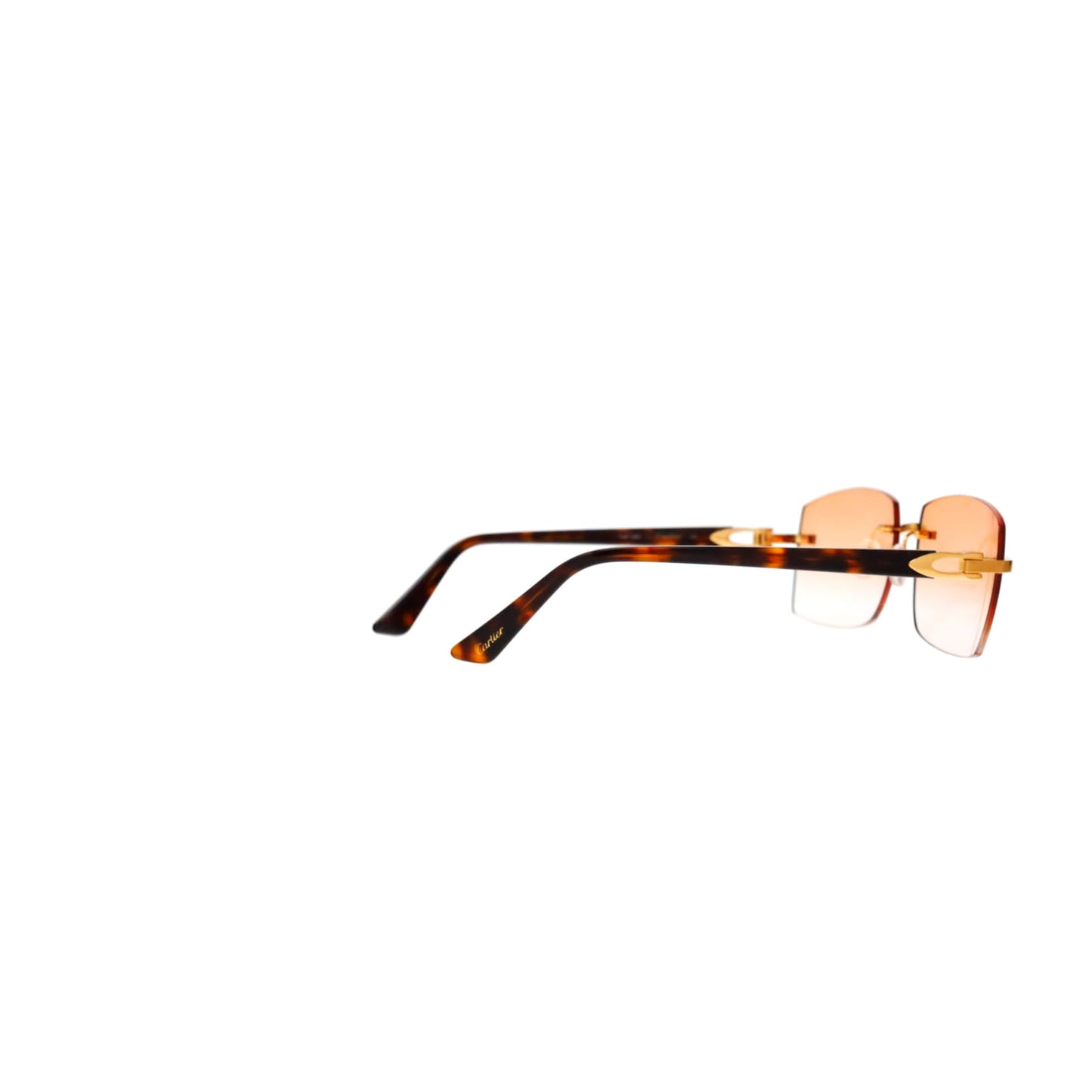 Cartier Custom C Décor Acetate Sunglasses by MEG