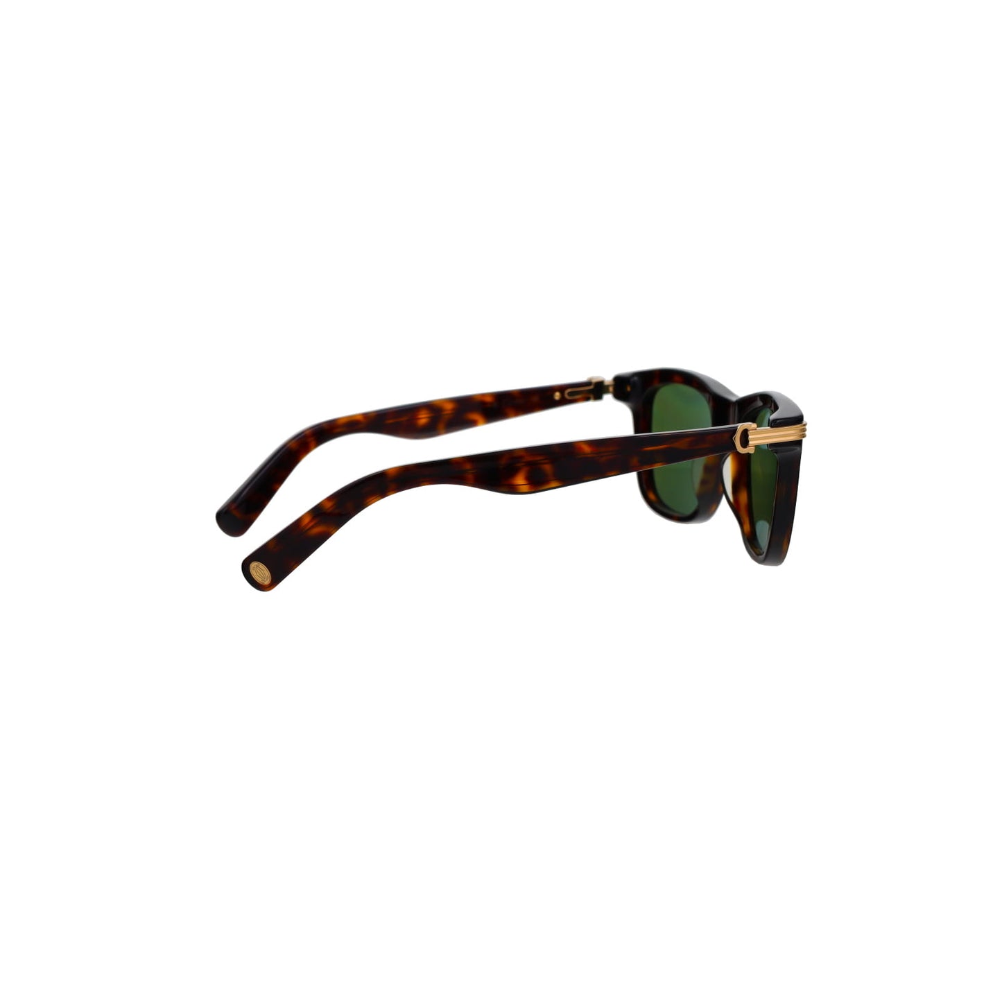 CT0396S Contemporary Acetate Sunglasses