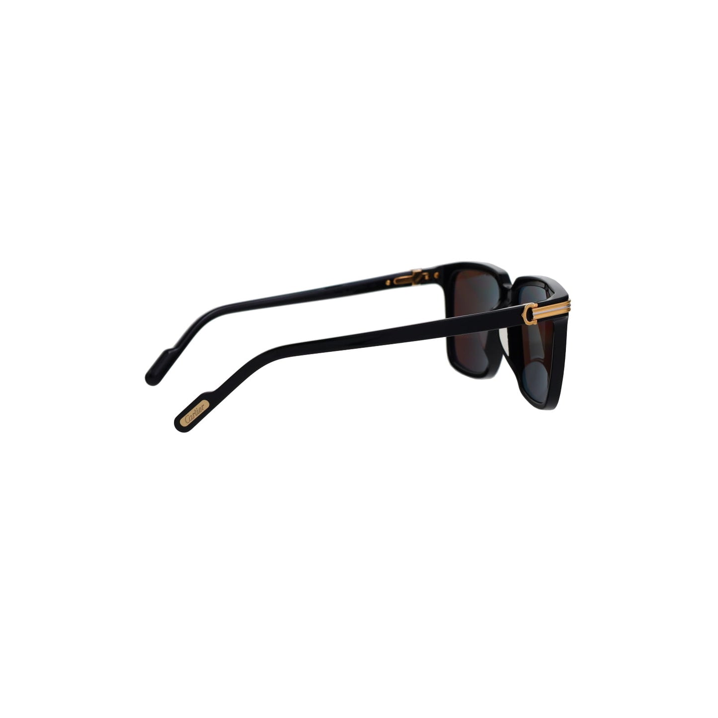 CT0220SA Contemporary Acetate Sunglasses