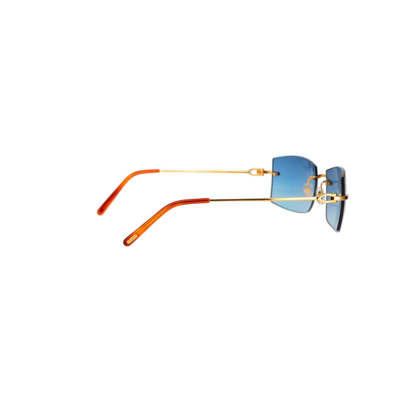 CT0005RS C Décor Sunglasses