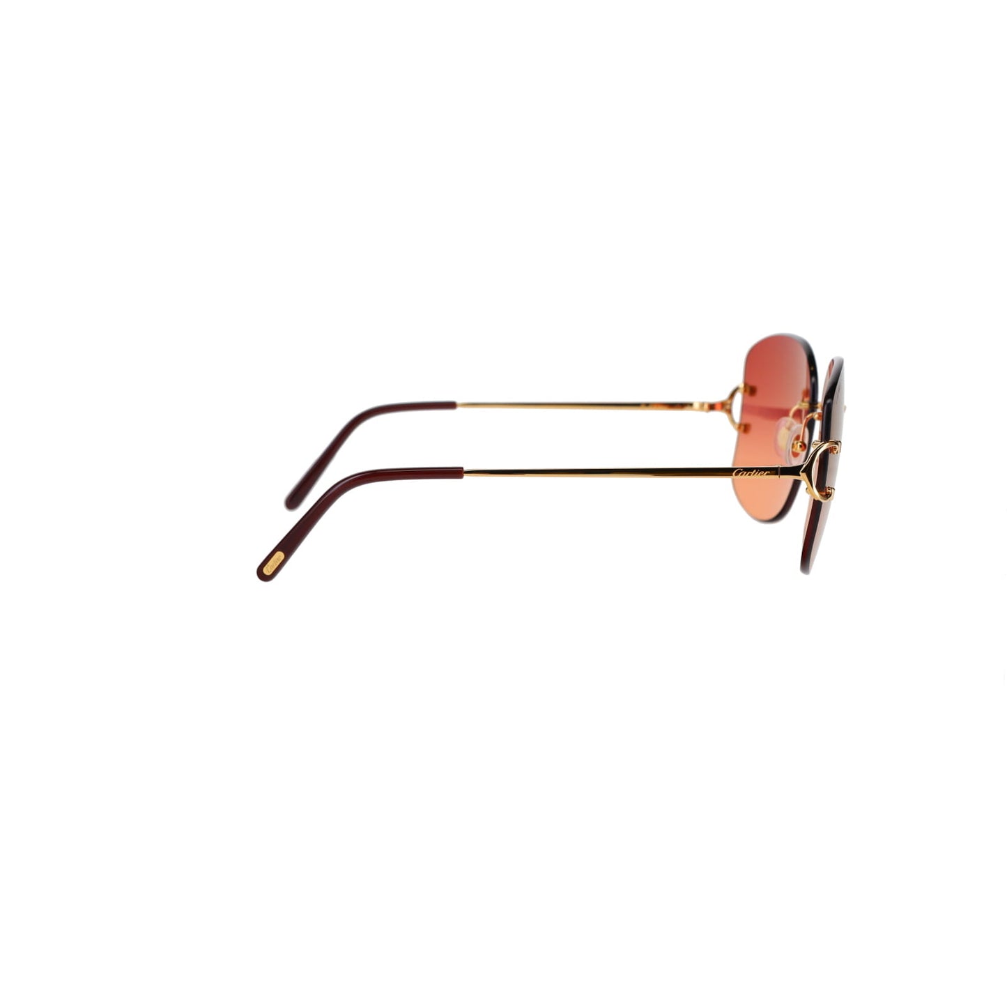 CT0037RS Signature C Sunglasses